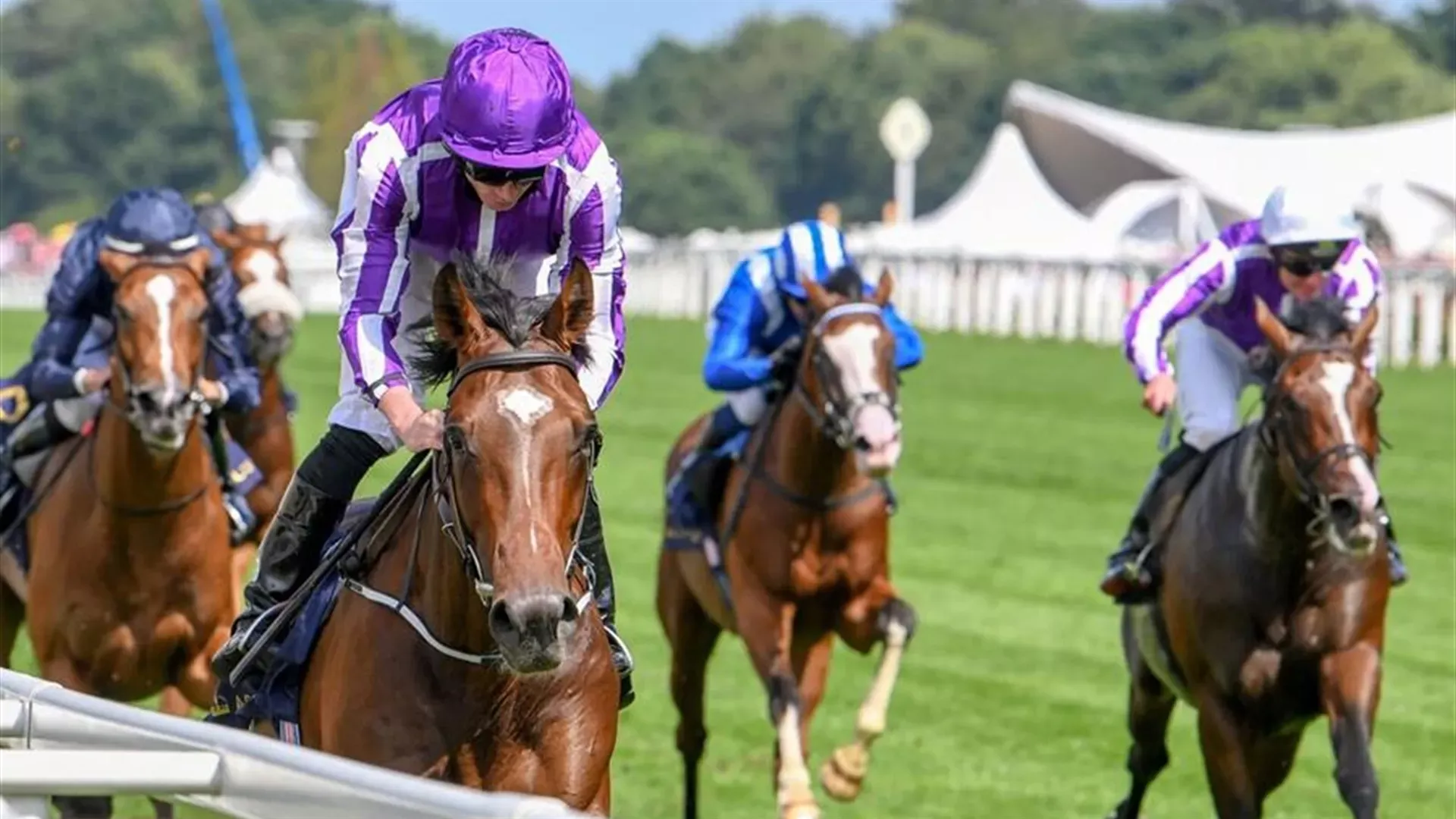 KEW GARDENS (Mathea Kelley)