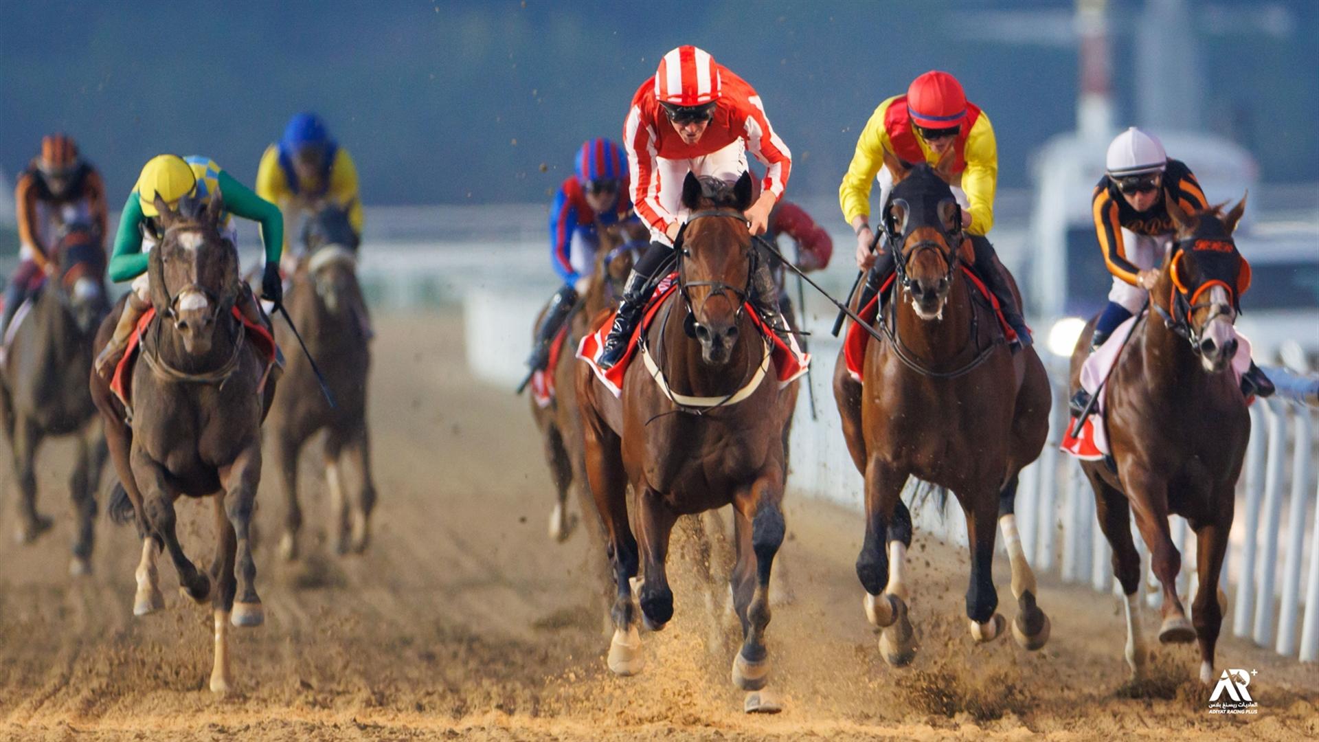 Salute The Soldier - G1 Maktoum Challenge R3 (sponsored by Emirates Airline)