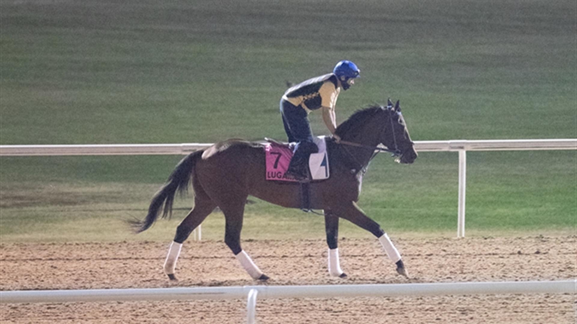 Lugamo (USA) (SANO, ANTONIO) UAE DERBY (Credit DRC & Neville Hopwood) 260321