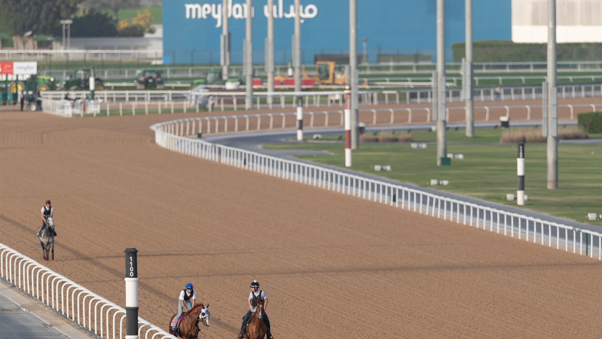 Mystic Guide (USA) (Michael Stidham) DUBAI WORLD CUP (Credit Dubai Racing Club & Neville Hopwood) 260321