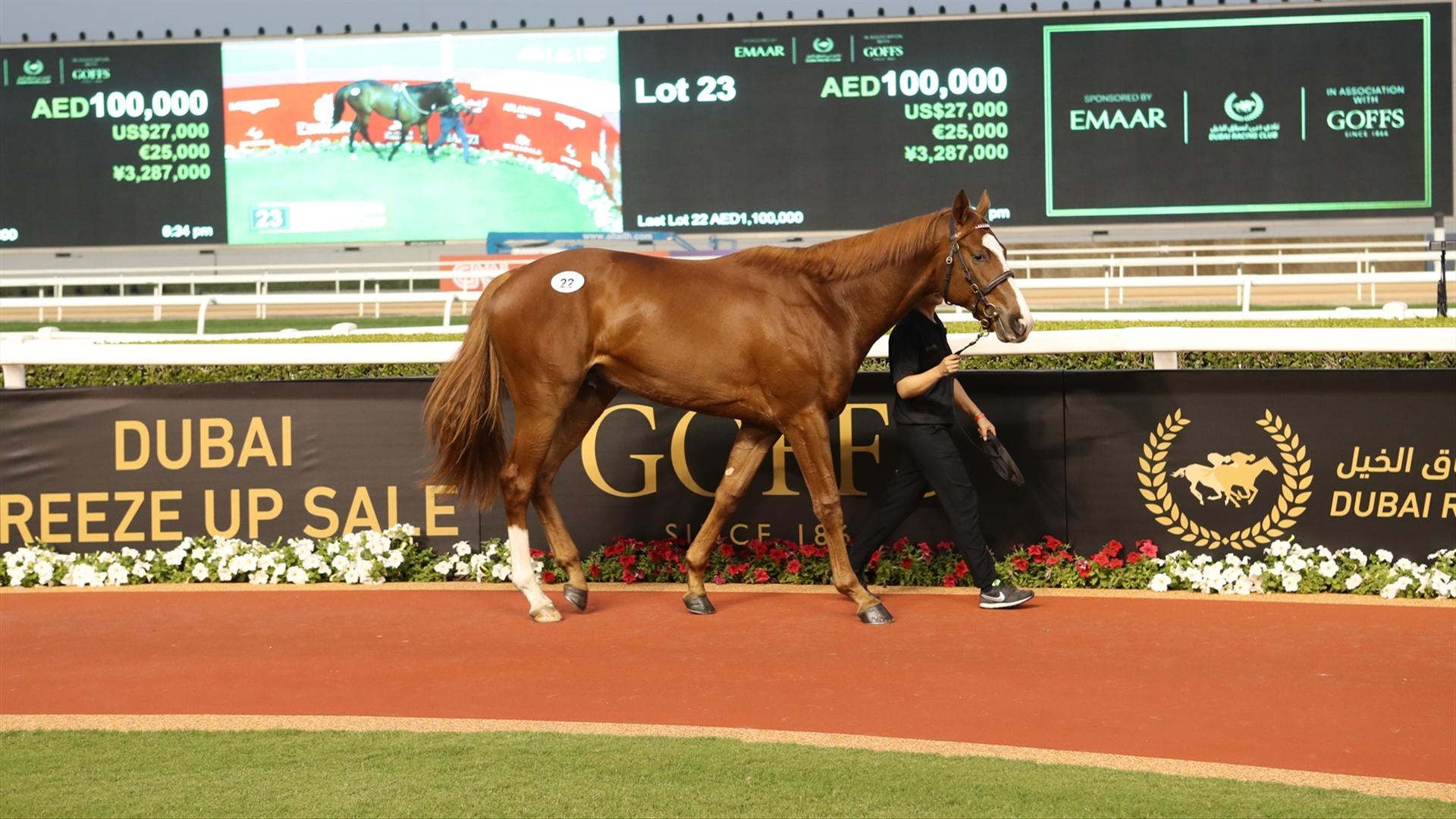 DUBAI BREEZE UP SALE, MARCH 23, 2022