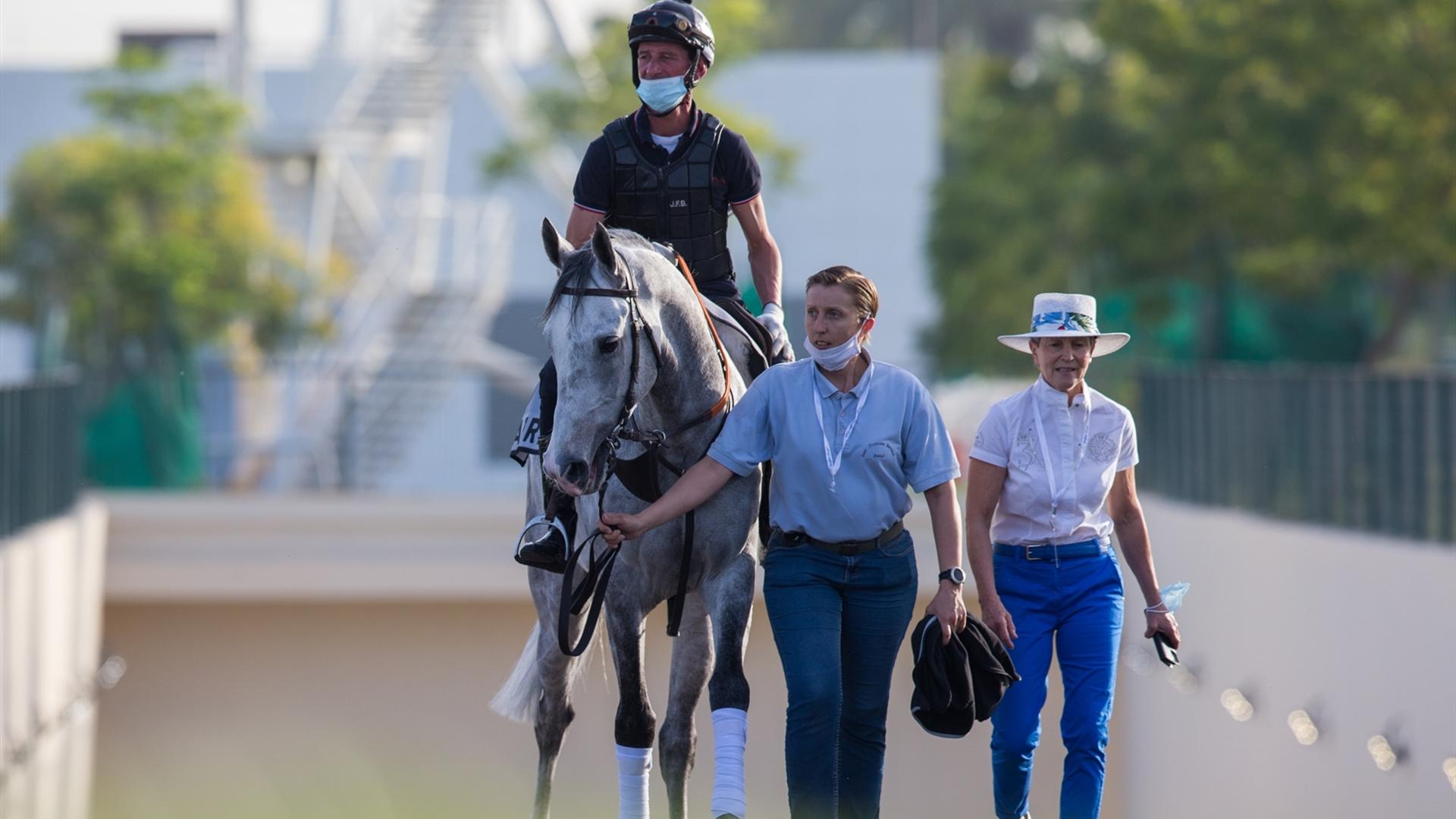 Hajres (TUN) (Elisabeth Bernard) DUBAI KAHAYLA CLASSIC (Credit DRC & Erika Rasmussen) 250321