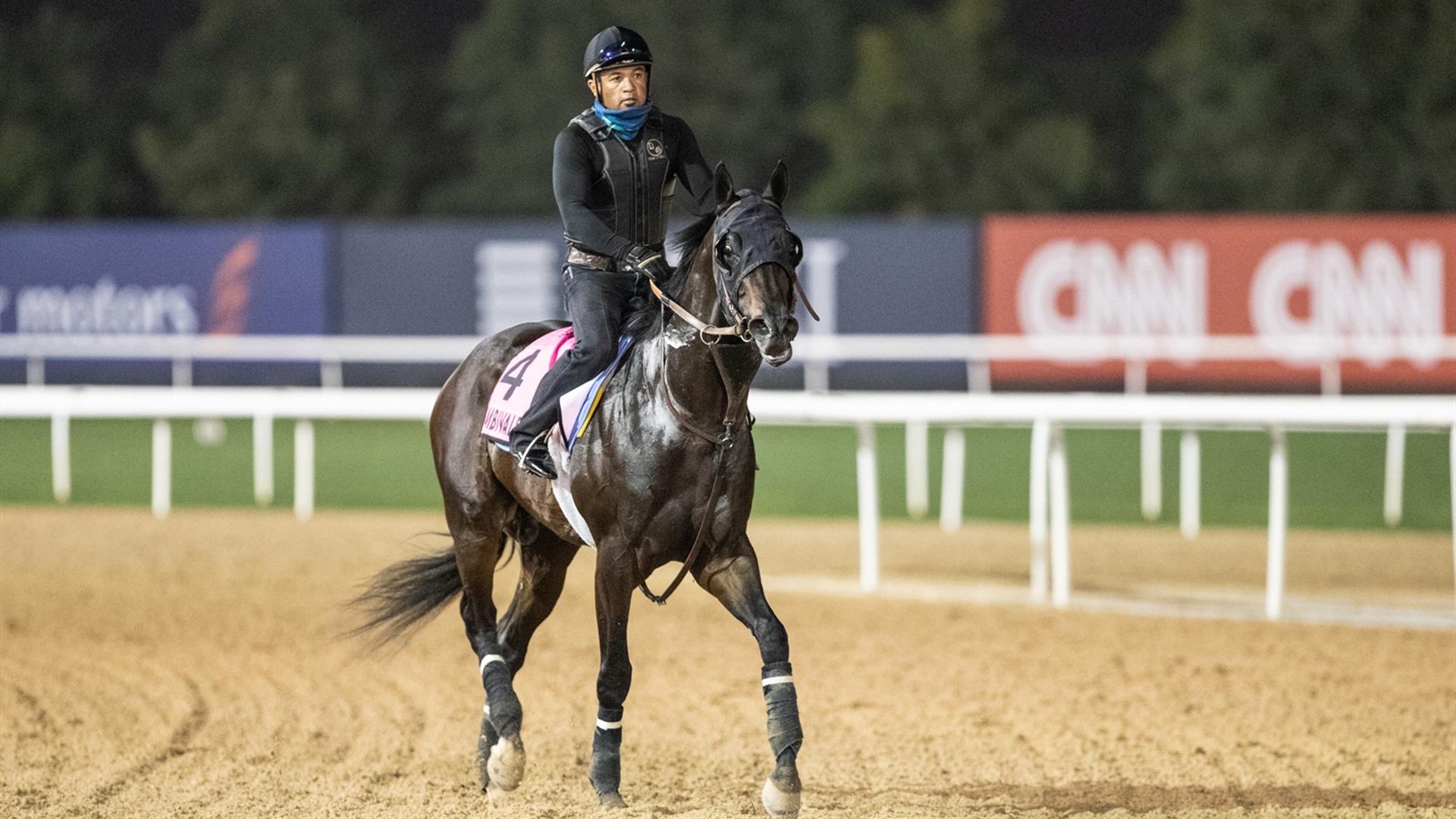 Ambivalent (USA) (Doug O'Neill) UAE Derby (Credit Dubai Racing Club & Neville Hopwood)