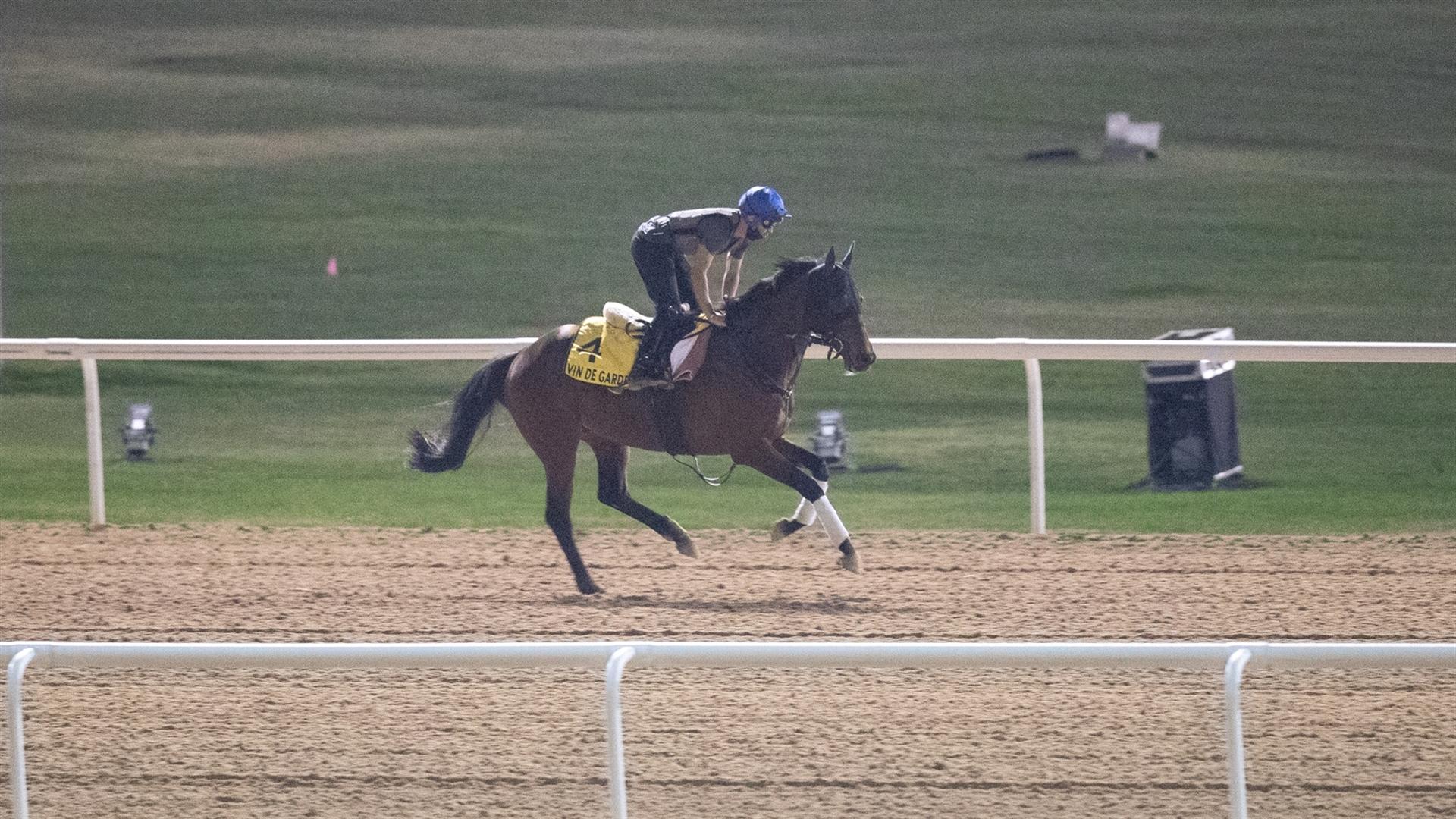 Vin De Garde (JPN) (Hideaki Fujiwara) DUBAI TURF (Credit DRC & Neville Hopwood) 260321