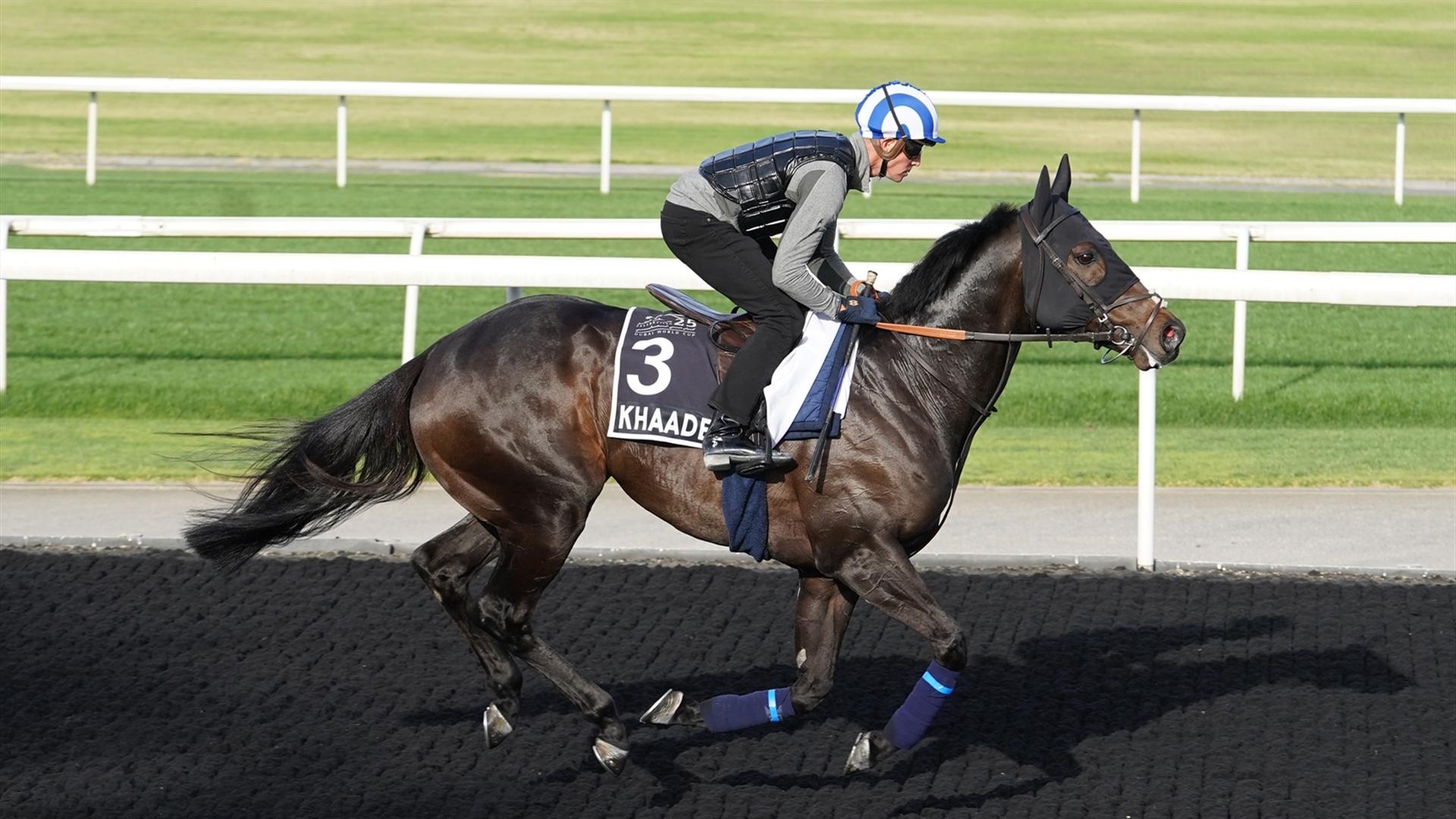 Khaadem (IRE) (Charles Hills) Al Quoz Sprint (Credit Dubai Racing Club & Mathea Kelley)220321
