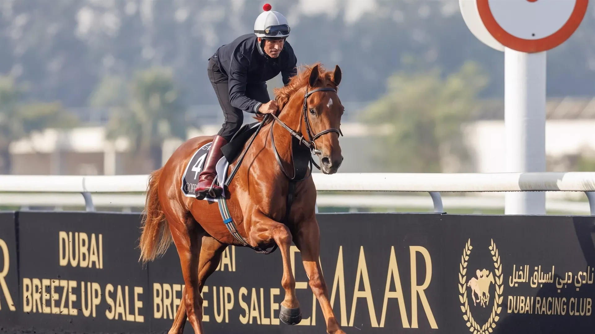 Gallops heighten anticipation for inaugural Dubai sale