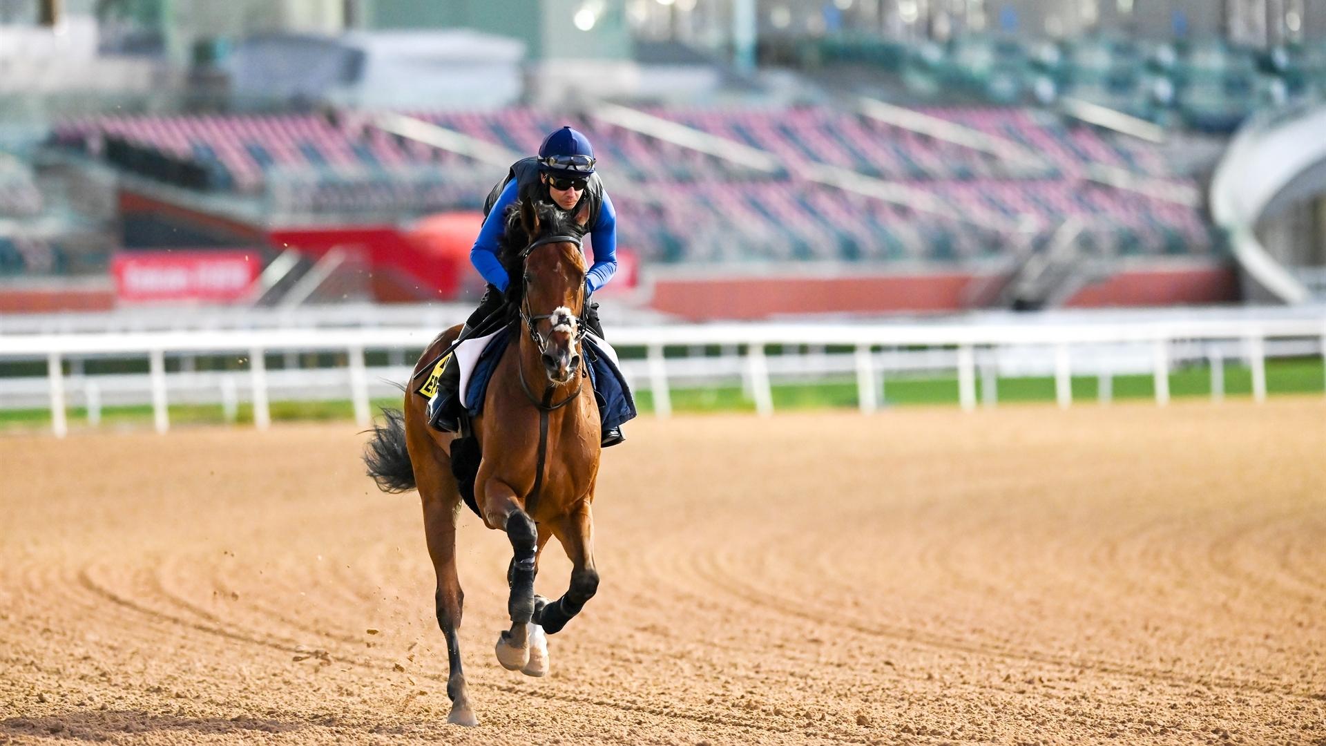 Epic Hero (FR) (GB) (Simon Crisford) DUBAI TURF (Credit DRC & Mathea Kelley)220321