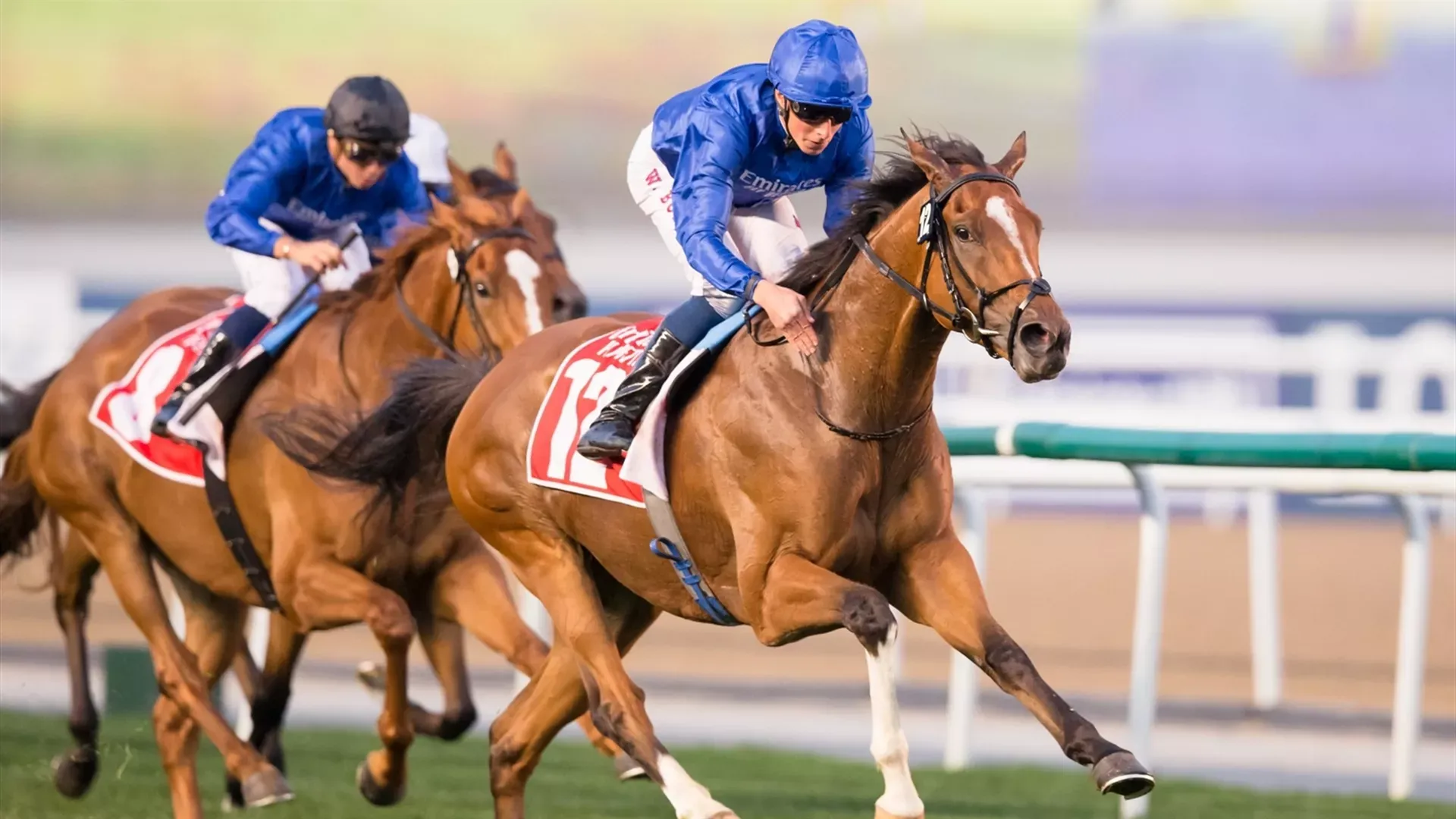 Barney Roy:Dubai Racing Club//Erika Rasmussen