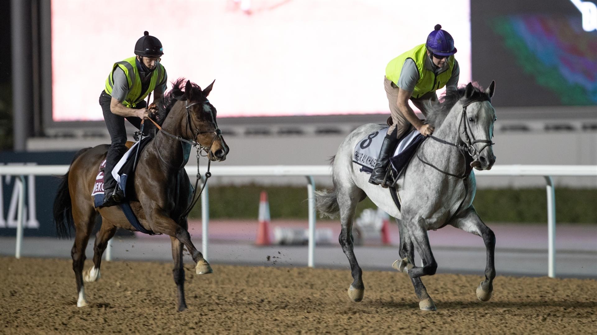 Mekong (GB) (James Osborne) Godolphin Mile & Mashhur Al Khalediah (KSA) (Philip Collington) Dubai Kahayla Classic (Credit DRC & NHopwood) 250321