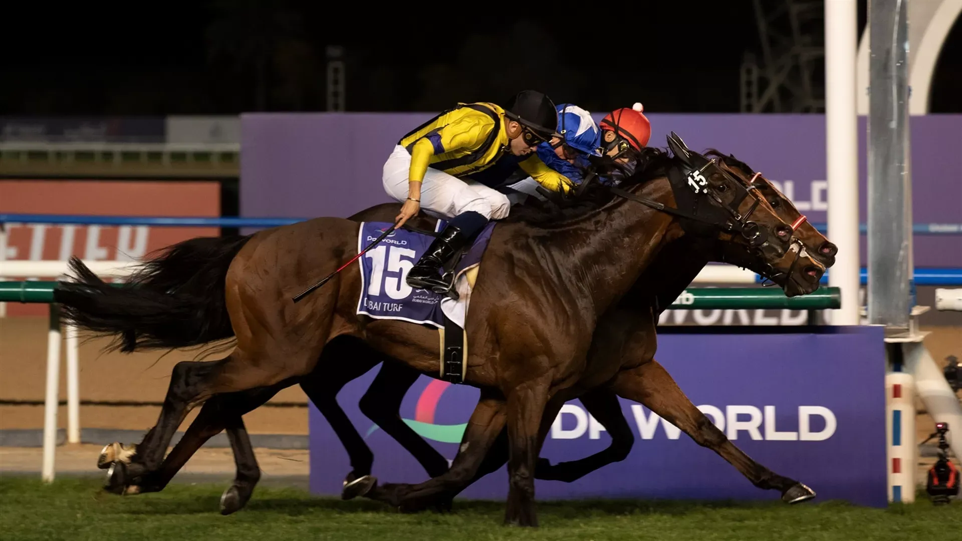 Lord North (IRE) (John Gosden) / Panthalassa (JPN) (Yoshito Yahagi) joint winners of the Dubai Turf Sponsored By DP World (Credit - DRC) - 260322