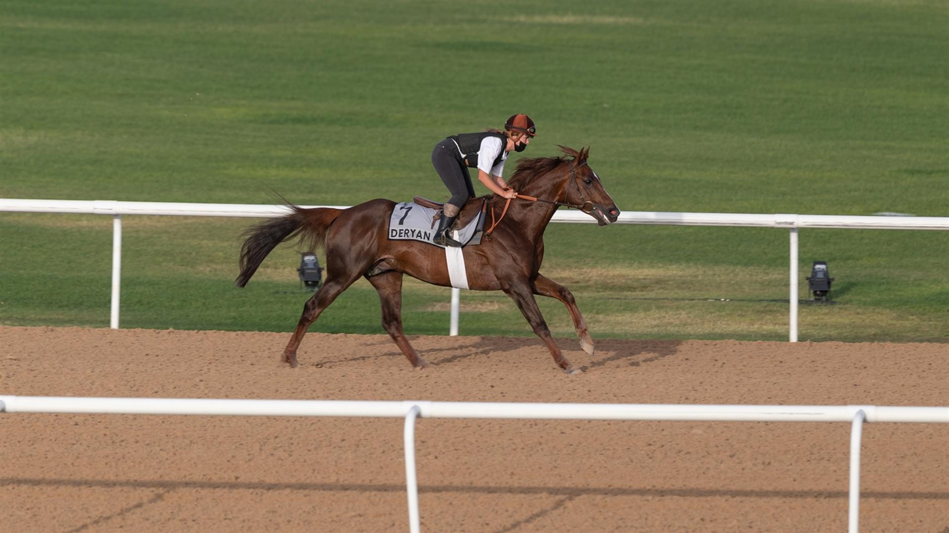 Deryan (FR) (Didier Guillemin) DUBAI KAHAYLA CLASSIC (Credit Dubai Racing Club & Mathea Kelley) 260321