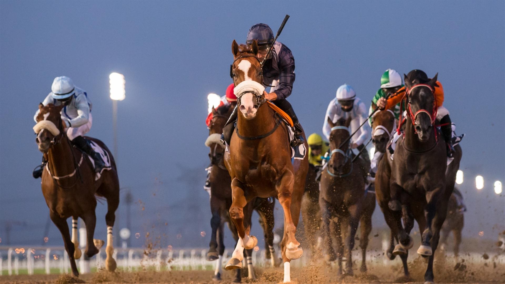 Major Cinnamon USA (Mujeeb Rahman - Fernando Jara) wins the Berton By Azizi - 1200m, dirt race at the tenth Racing at Meydan meeting on March 11, 2021. (Credit: Dubai Racing Club // Erika Rasmussen)