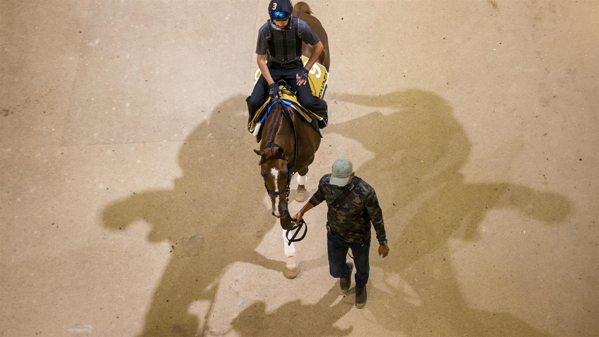 ZENDEN (USA) (Carlos David) Dubai Golden Shaheen (Credit DRC & Erika Rasmussen) 260321 (2)