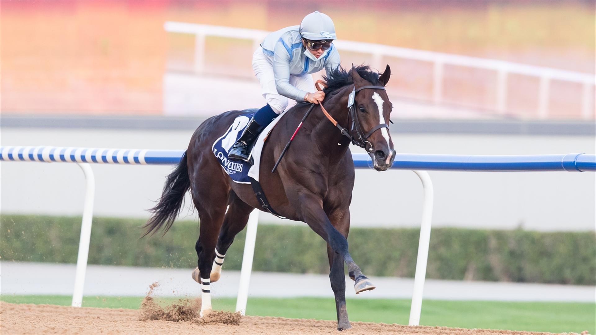 Panadol (USA) (Salem bin Ghadayer - Mickael Barzalona) wins the Longines Spirit Collection Mile - 1600m race at the ninth Racing at Meydan meeting on February 13, 2021. (Credit:DRC//Erika Rasmussen)
