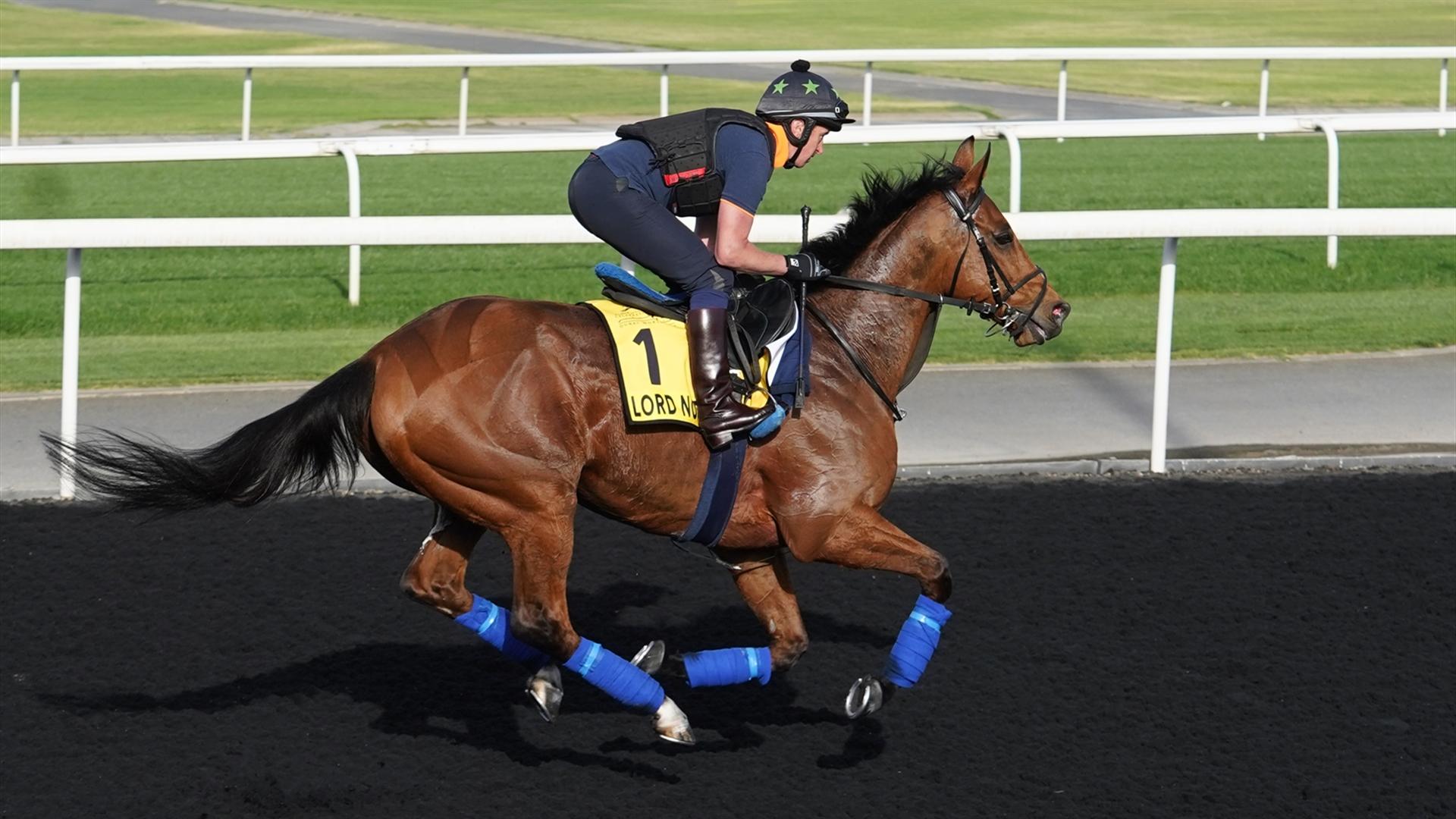 Lord North (IRE) (John Gosden) DUBAI TURF (Credit DRC & Mathea Kelley)220321