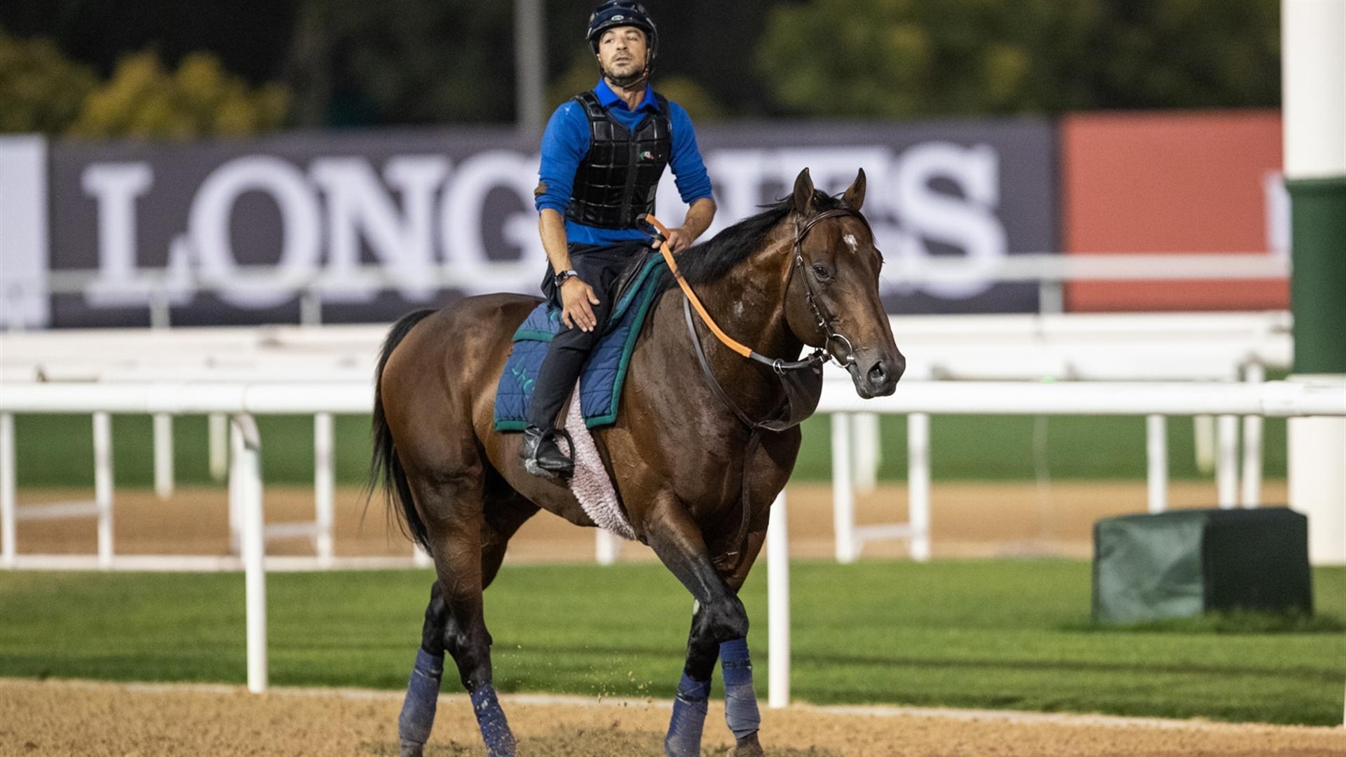 Good Effort (IRE) (Ismail Mohammed) Dubai Golden Shaheen (Credit DRC & Neville Hopwood)