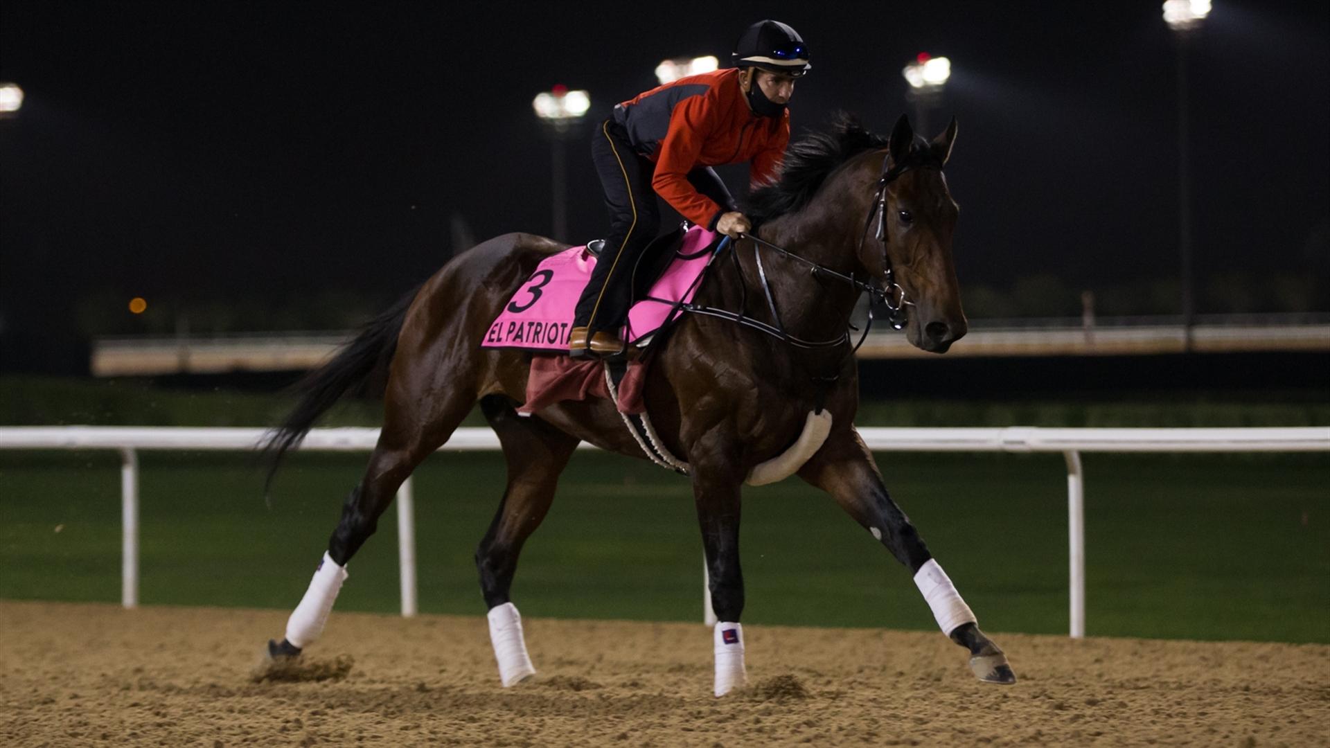 El Patriota (URU) (Antonio Cintra) UAE DERBY (Credit DRC & Erika Rasmussen)
