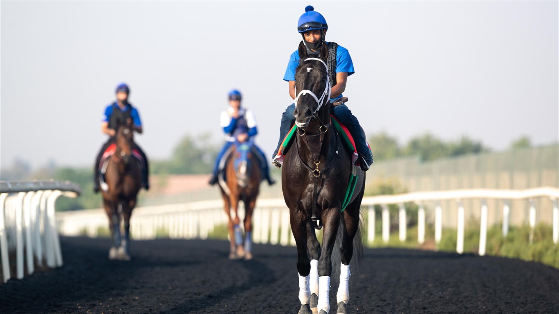 Title Ready (USA) (Dallas Stewart) DUBAI WORLD CUP (Credit Dubai Racing Club & Neville Hopwood) 230321