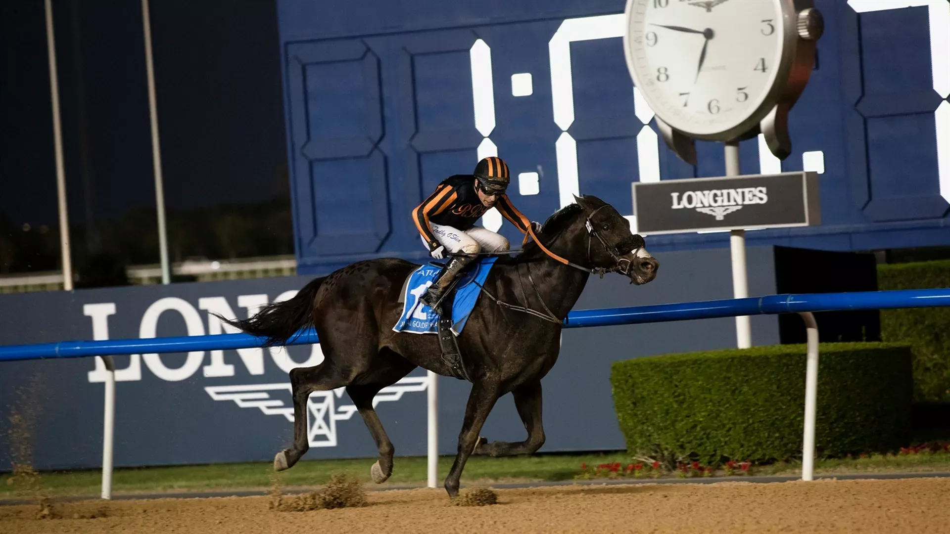 Switzerland (USA) wins the Dubai Golden Shaheen (Credit - DRC)- 260322