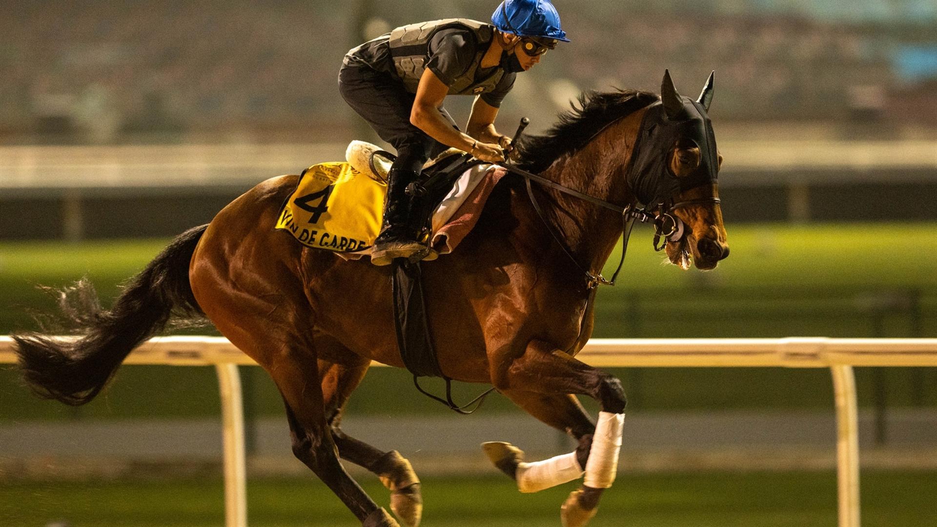 Vin De Garde (JPN) (Hideaki Fujiwara) DUBAI TURF (Credit DRC & Mathea Kelley) 260321