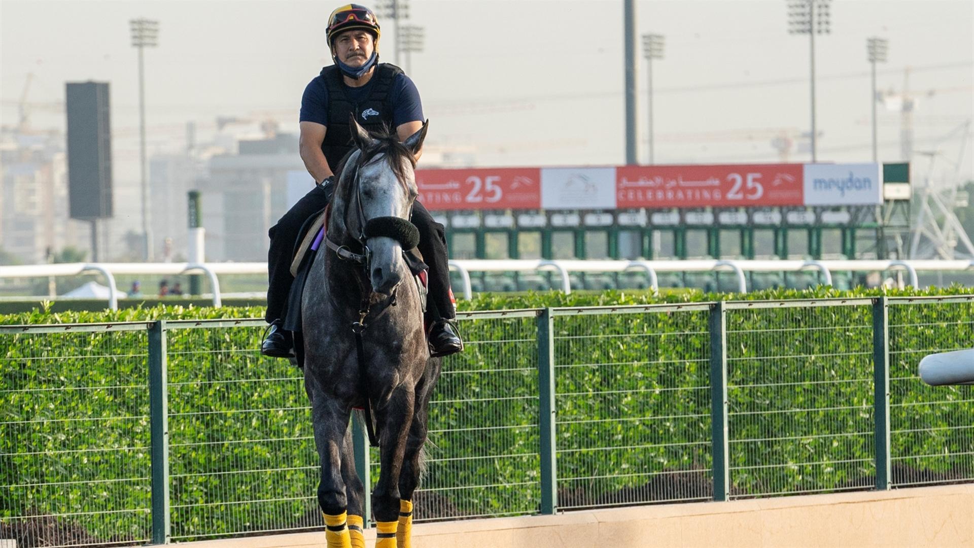 Sleepy Eyes Todd (USA) (Miguel Angel Silva) DUBAI WORLD CUP (Credit Dubai Racing Club & Mathea Kelley) 250321