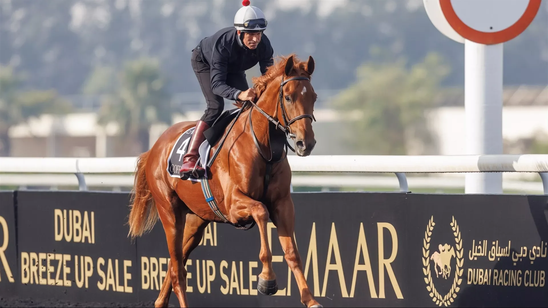 Gallops heighten anticipation for inaugural Dubai sale
