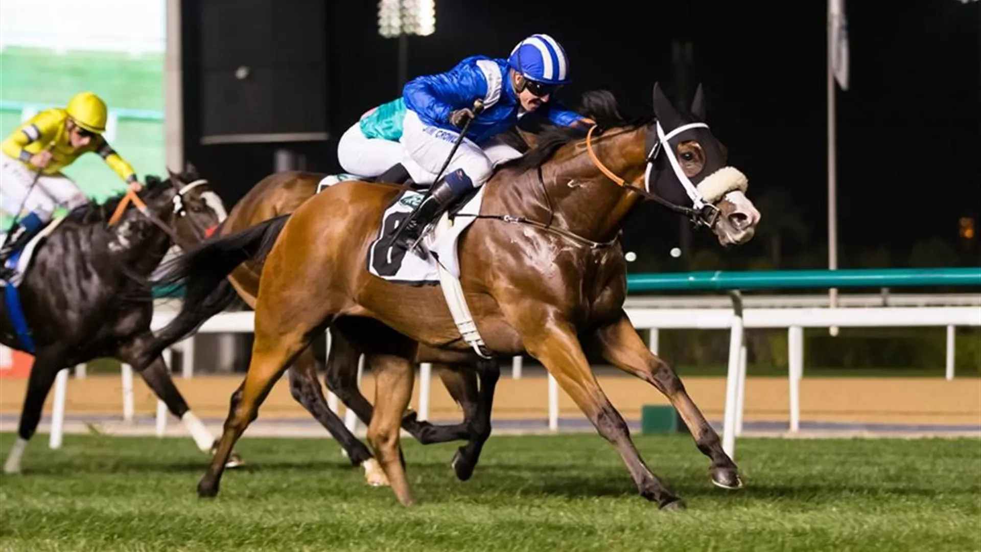 WAADY (DRC|Erika Rasmussen)