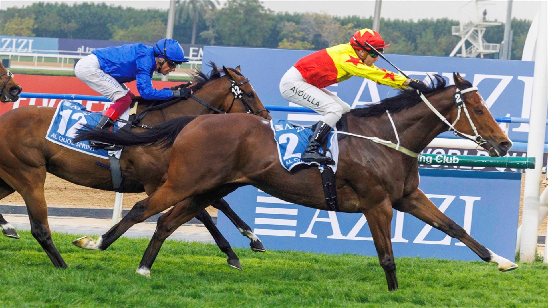 California Spangle (IRE)  wins the Al Quoz Sprint (Credit - DRC)- 300324