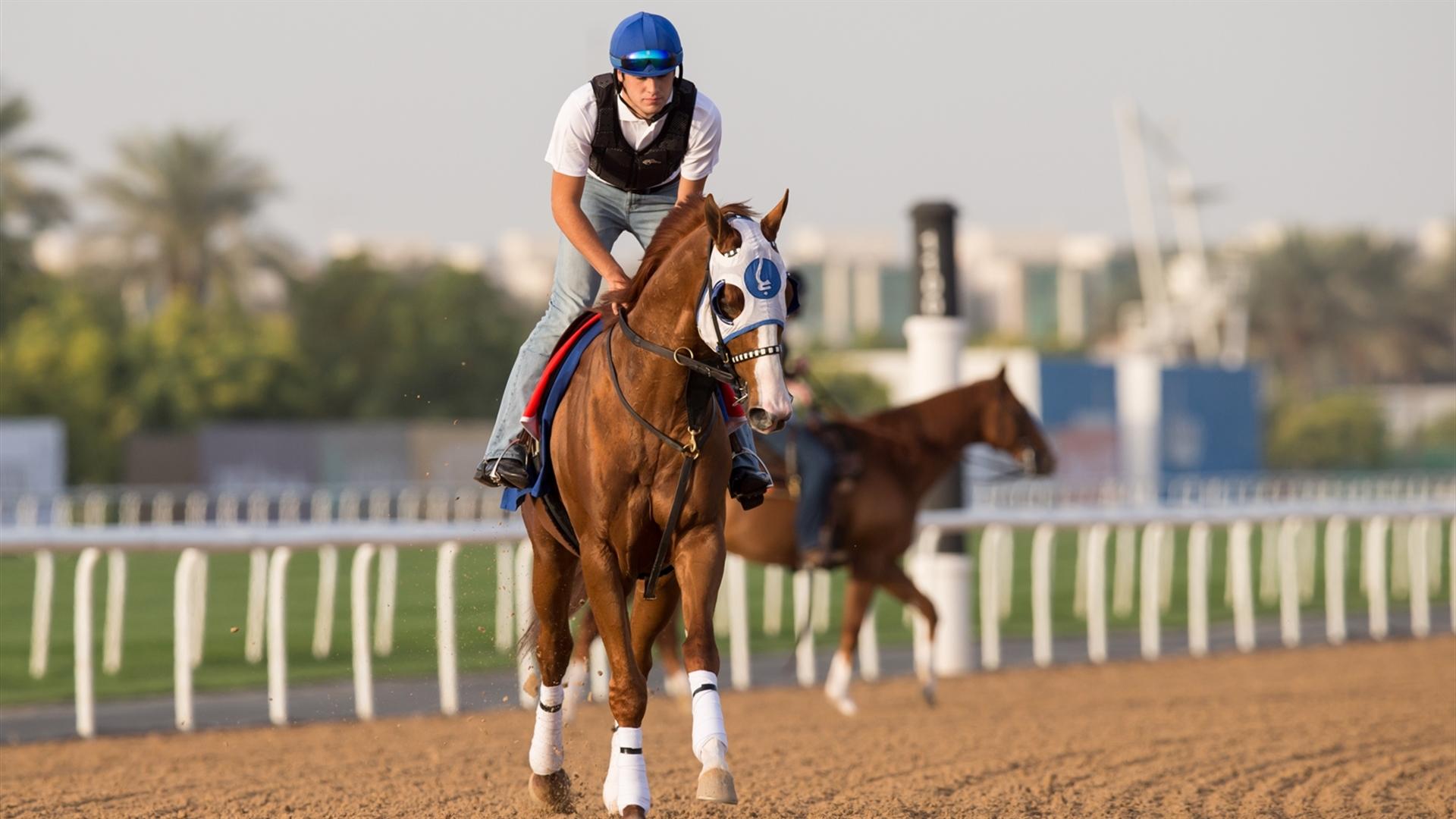 Mystic Guide (USA) (Michael Stidham) DUBAI WORLD CUP (Credit DRC & Erika Rasmussen) 260321