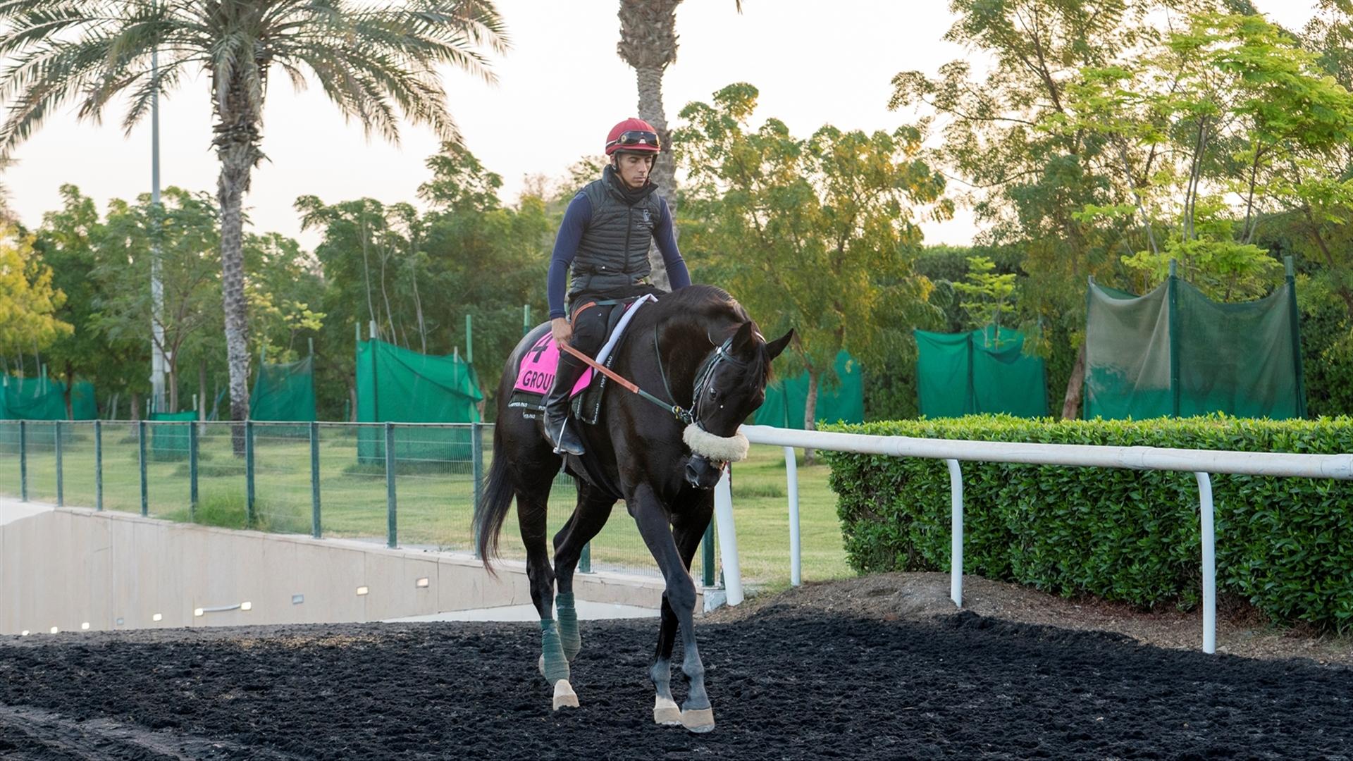 Fire Group (USA) (Musabbeh Al Mheiri) UAE DERBY (Credit Dubai Racing Club & Mathea Kelley) 250321