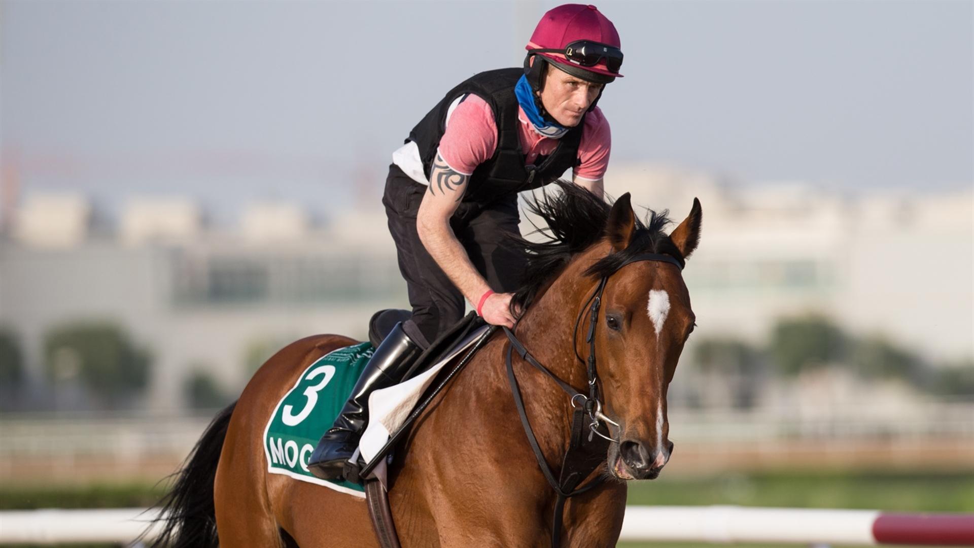 Mogul (GB) (Aidan O'Brien) LONGINES DUBAI SHEEMA CLASSIC (Credit DRC & Erika Rasmussen) 260321