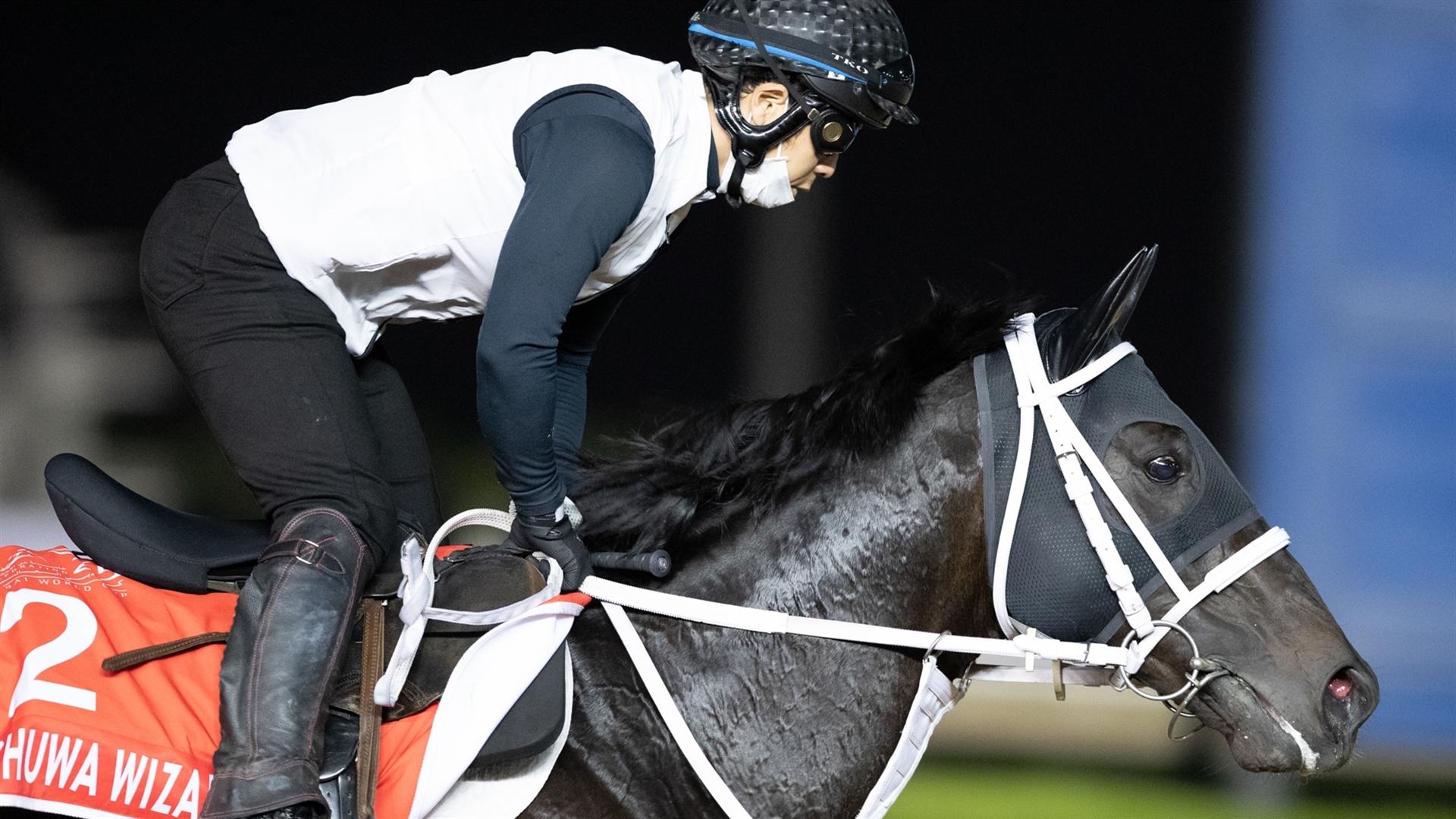 Chuwa Wizard (JPN) (Ryuji Okubo) DUBAI WORLD CUP (Credit Dubai Racing Club & Neville Hopwood)220321
