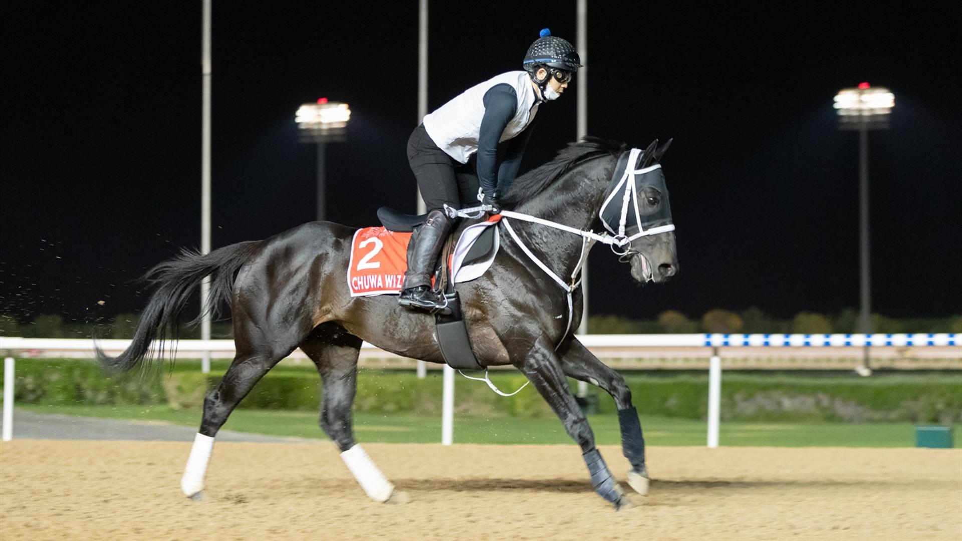 Chuwa Wizard (JPN) (Ryuji Okubo) DUBAI WORLD CUP (Credit Dubai Racing Club & Neville Hopwood) (2)220321