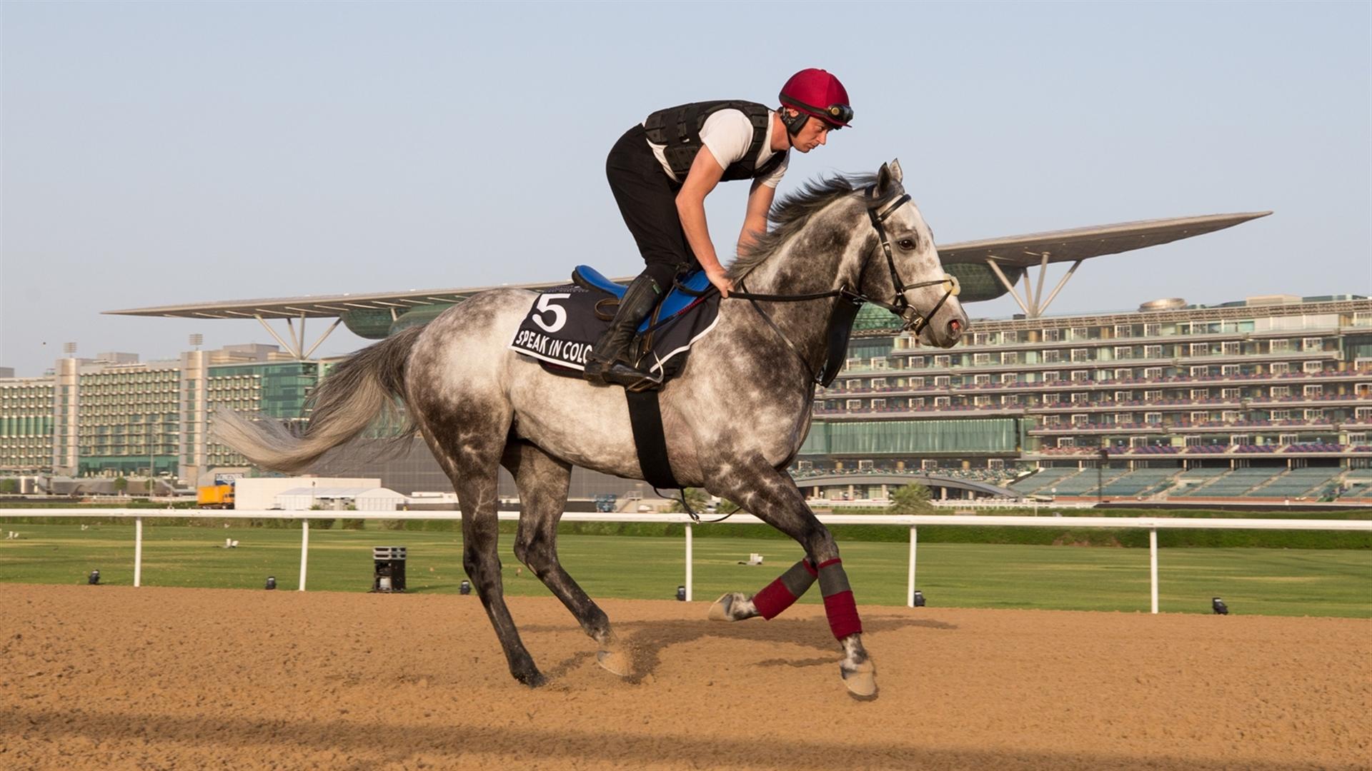 Speak in Colours (IRE) (Joseph O'Brien) Al Quoz Sprint (Credit DRC & Erika Rasmussen) 260321