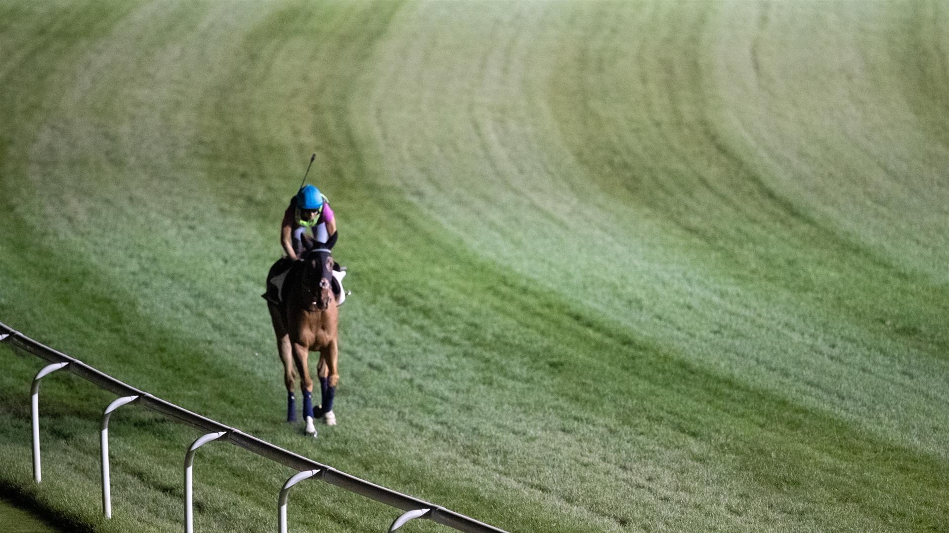 Felix (GB) (Marco Botti) DUBAI TURF (Credit DRC & Neville Hopwood) 260321