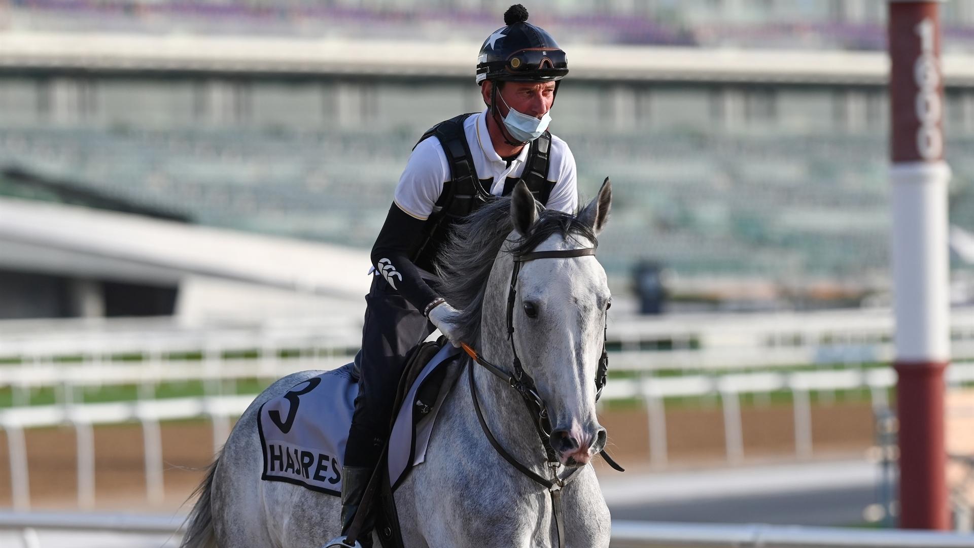 Hajres (TUN) (Elisabeth Bernard) DUBAI KAHAYLA CLASSIC (Credit Dubai Racing Club & Mathea Kelley)220321