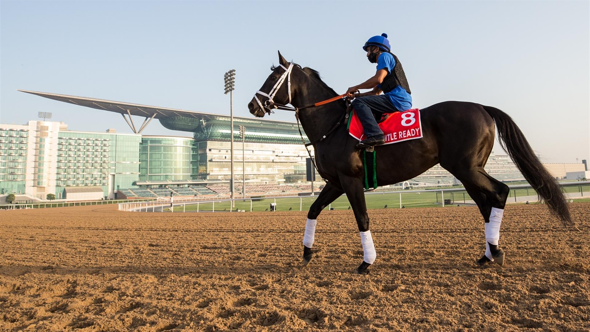 TITLE READY (USA) (Dallas Stewart) DUBAI WORLD CUP (Credit DRC & Erika Rasmussen) 240321