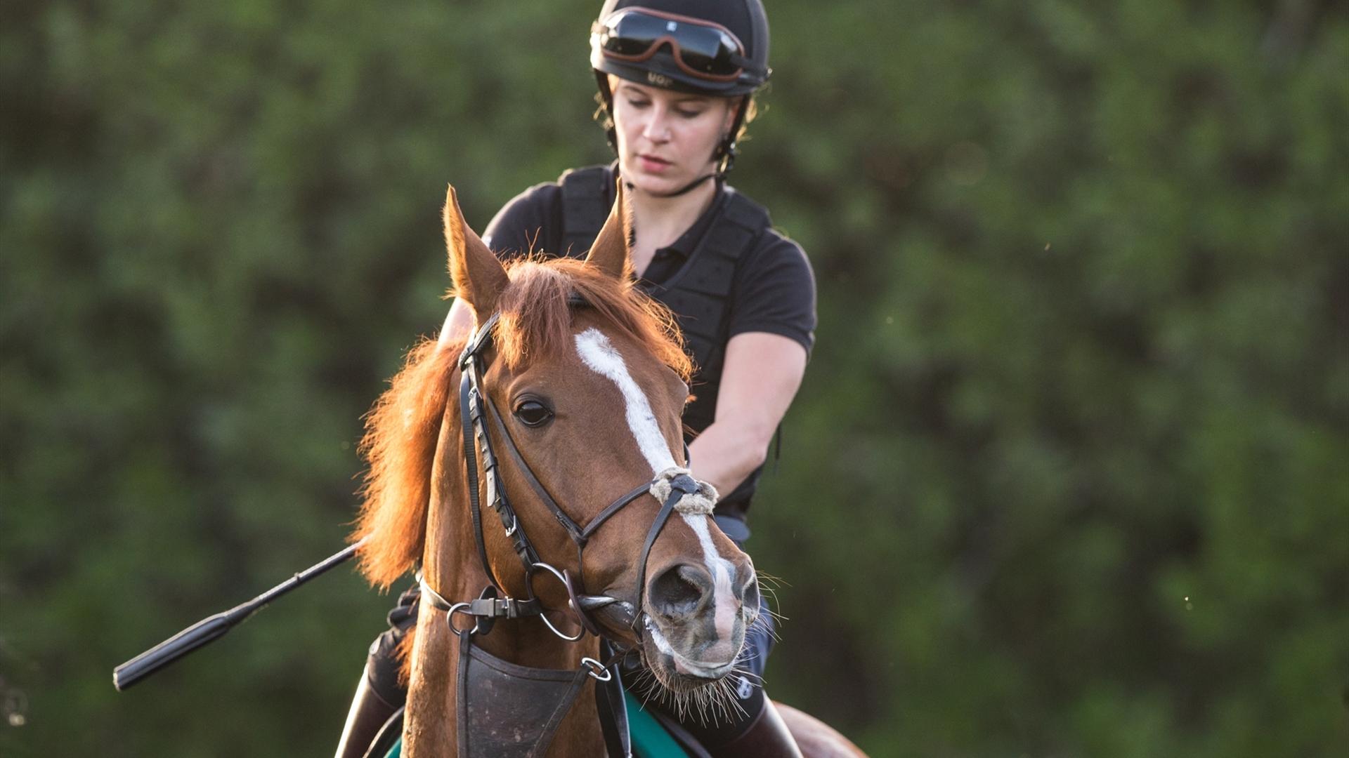 Berkshire Rocco (FR) (Andrew Balding) LONGINES DUBAI SHEEMA CLASSIC (Credit DRC & Erika Rasmussen) 250321
