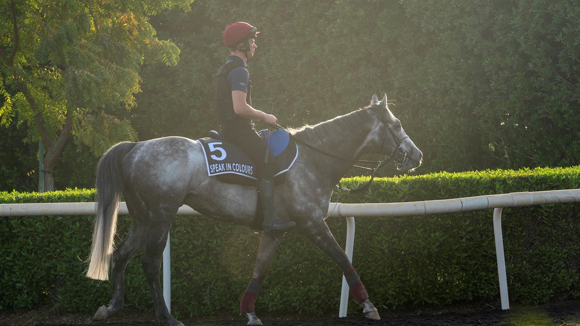 Speak in Colours (IRE) (Joseph O'Brien) Al Quoz Sprint (Credit Dubai Racing Club & Mathea Kelley) 2503121