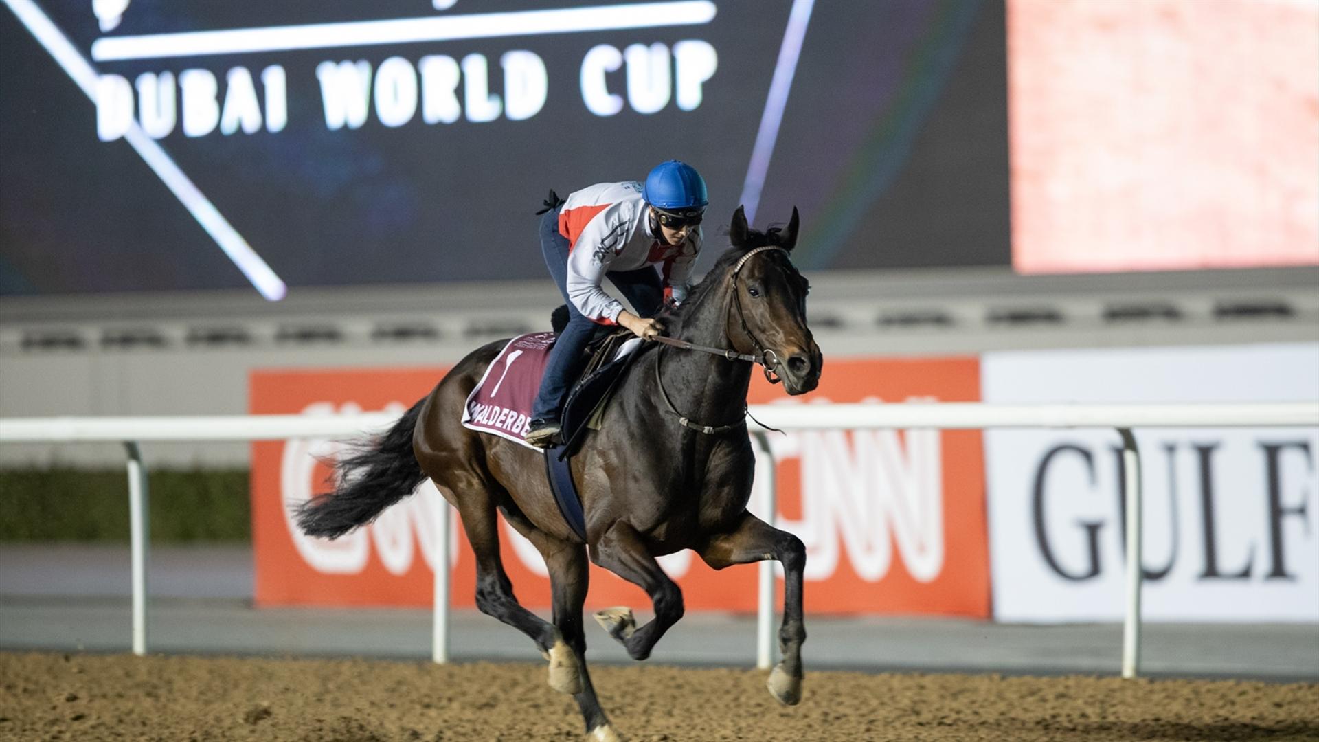 Walderbe (GER) (Ralf Rohne) GODOLPHIN MILE (Credit Dubai Racing Club & Neville Hopwood) 250321