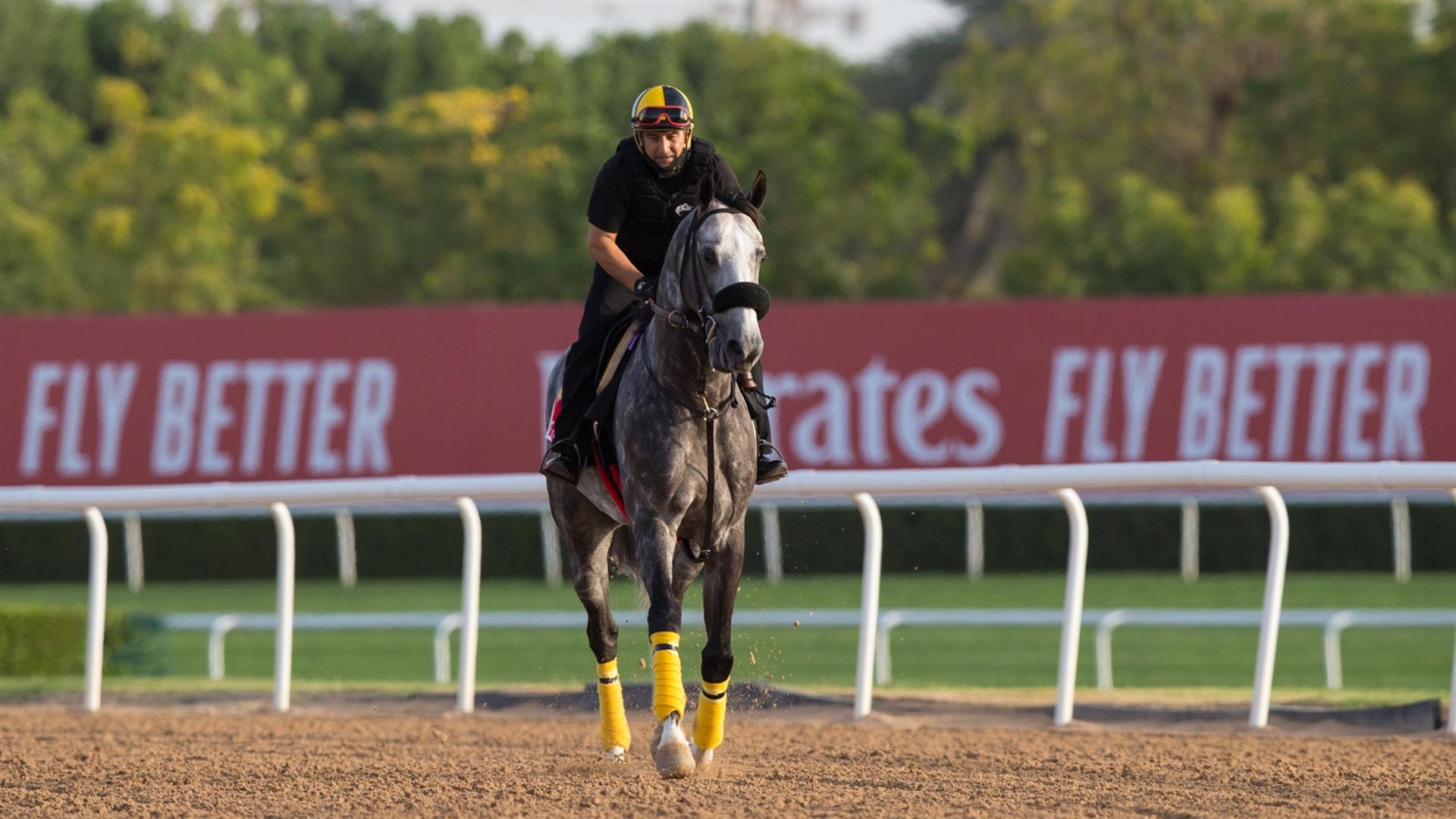Sleepy Eyes Todd (USA) (Miguel Angel Silva) DUBAI WORLD CUP (Credit DRC & Erika Rasmussen) 260321