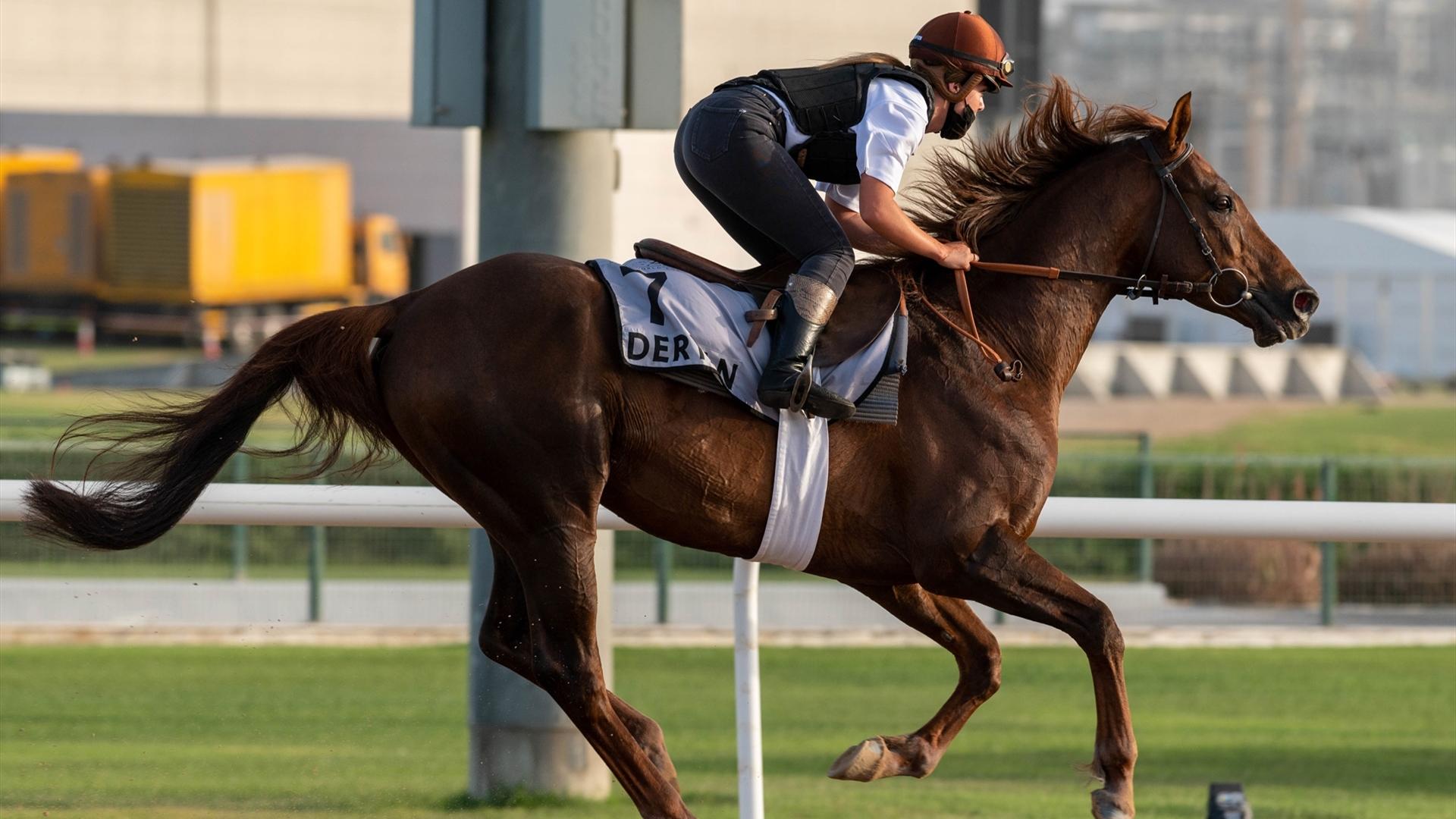 Deryan (FR) (Didier Guillemin) DUBAI KAHAYLA CLASSIC (Credit Dubai Racing Club & Mathea Kelley) 260321