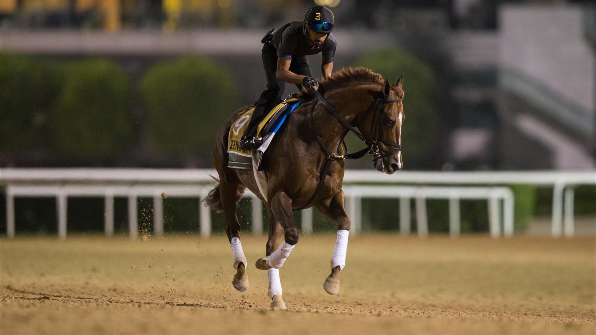 ZENDEN (USA) (Carlos David) Dubai Golden Shaheen (Credit DRC & Erika Rasmussen) 260321