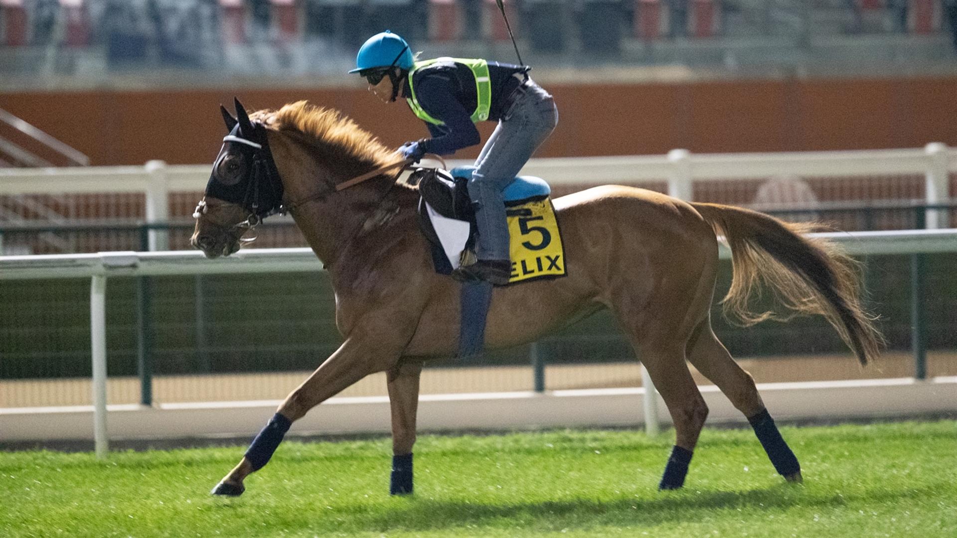 Felix (GB) (Marco Botti) DUBAI TURF (Credit DRC & Neville Hopwood)220321