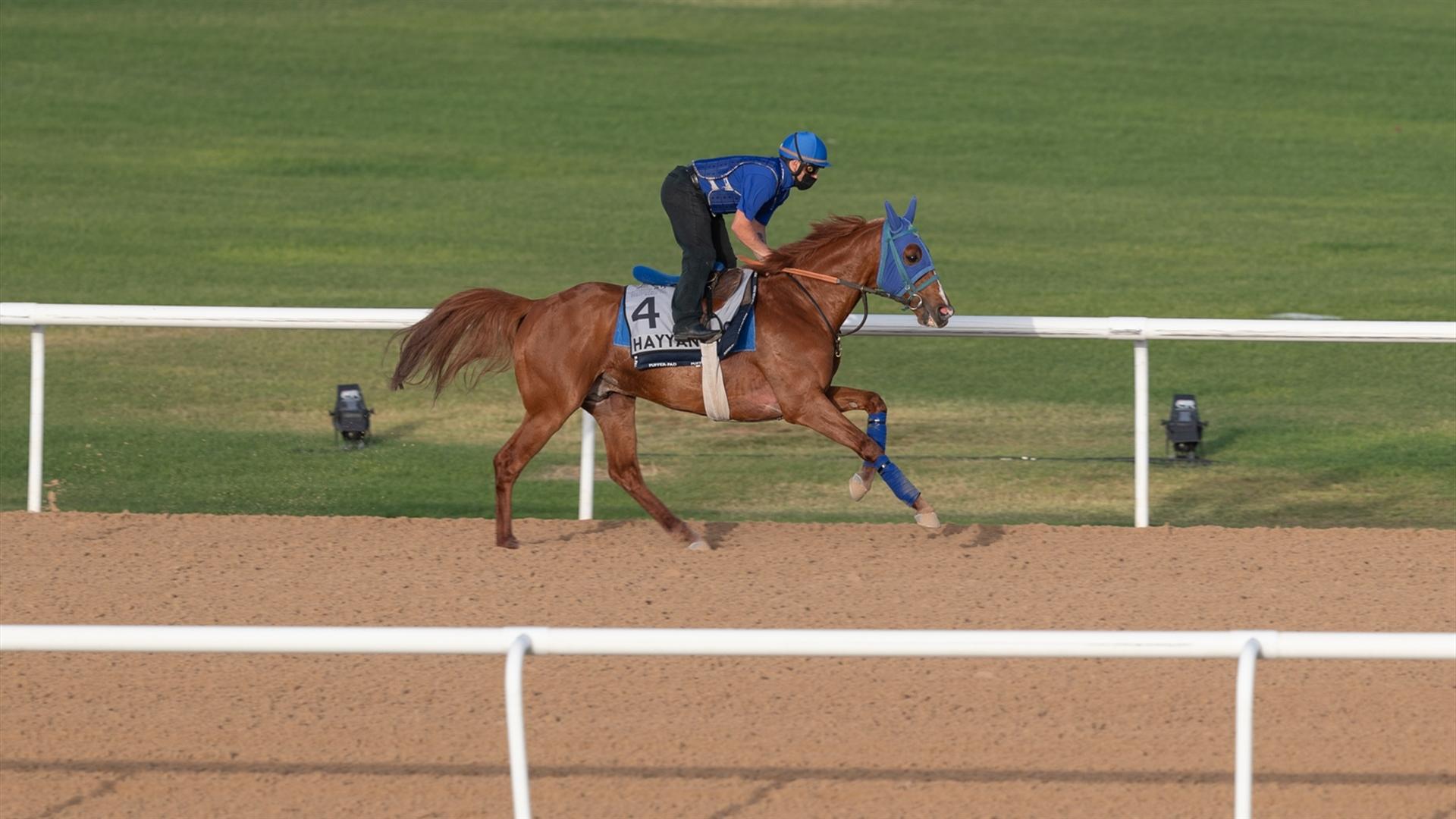 Hayyan (FR) (Frederic Sanchez) DUBAI KAHAYLA CLASSIC (Credit Dubai Racing Club & Neville Hopwood) 260321