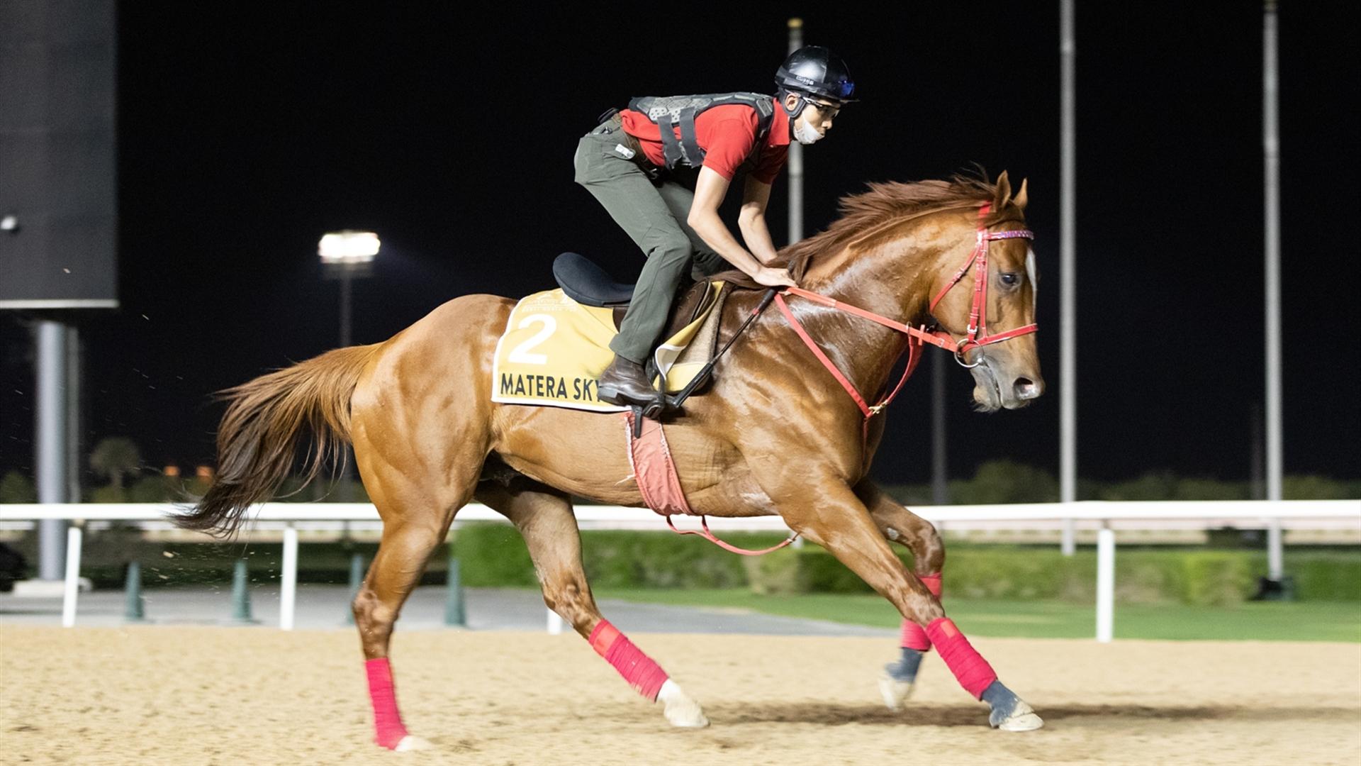 Matera Sky (USA) (Hideyuki Mori) Dubai Golden Shaheen (Credit Dubai Racing Club & Neville Hopwood)220321