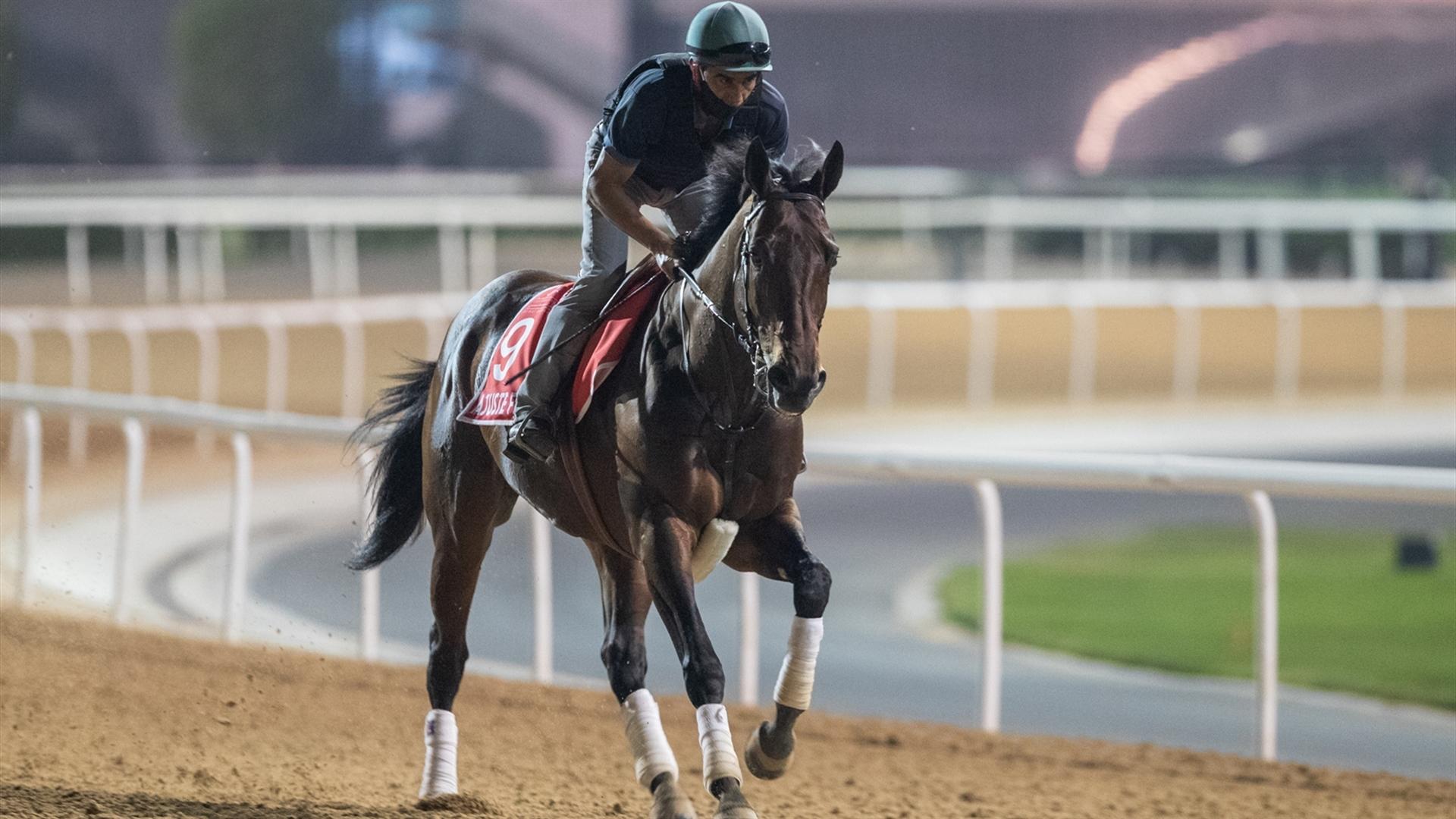 Ajuste Fiscal (URU) (Antonio Cintra) Dubai World Cup (Credit Dubai Racing Club & Neville Hopwood)