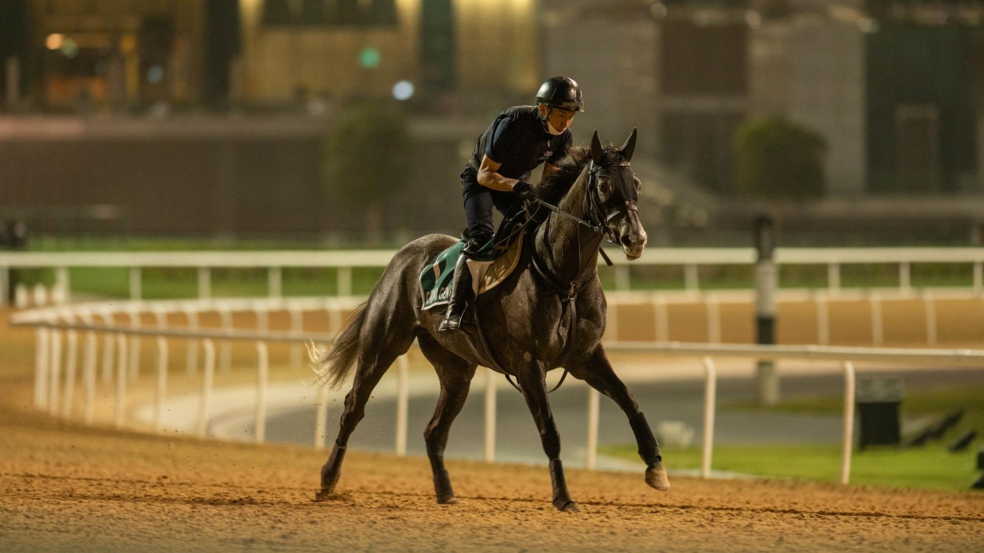 Chrono Genesis (JPN) (Takashi Saito) LONGINES DUBAI SHEEMA CLASSIC (Credit Dubai Racing Club & Mathea Kelley) 260321