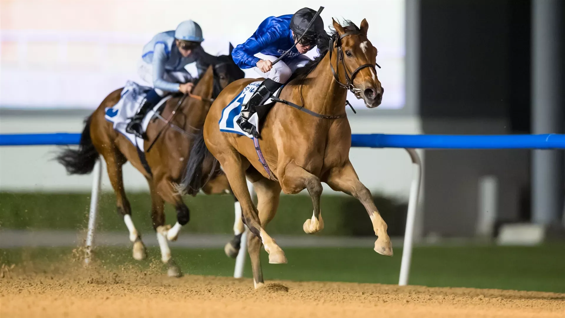 DUBAI LOVE Dubai Racing Club// Erika Rasmussen