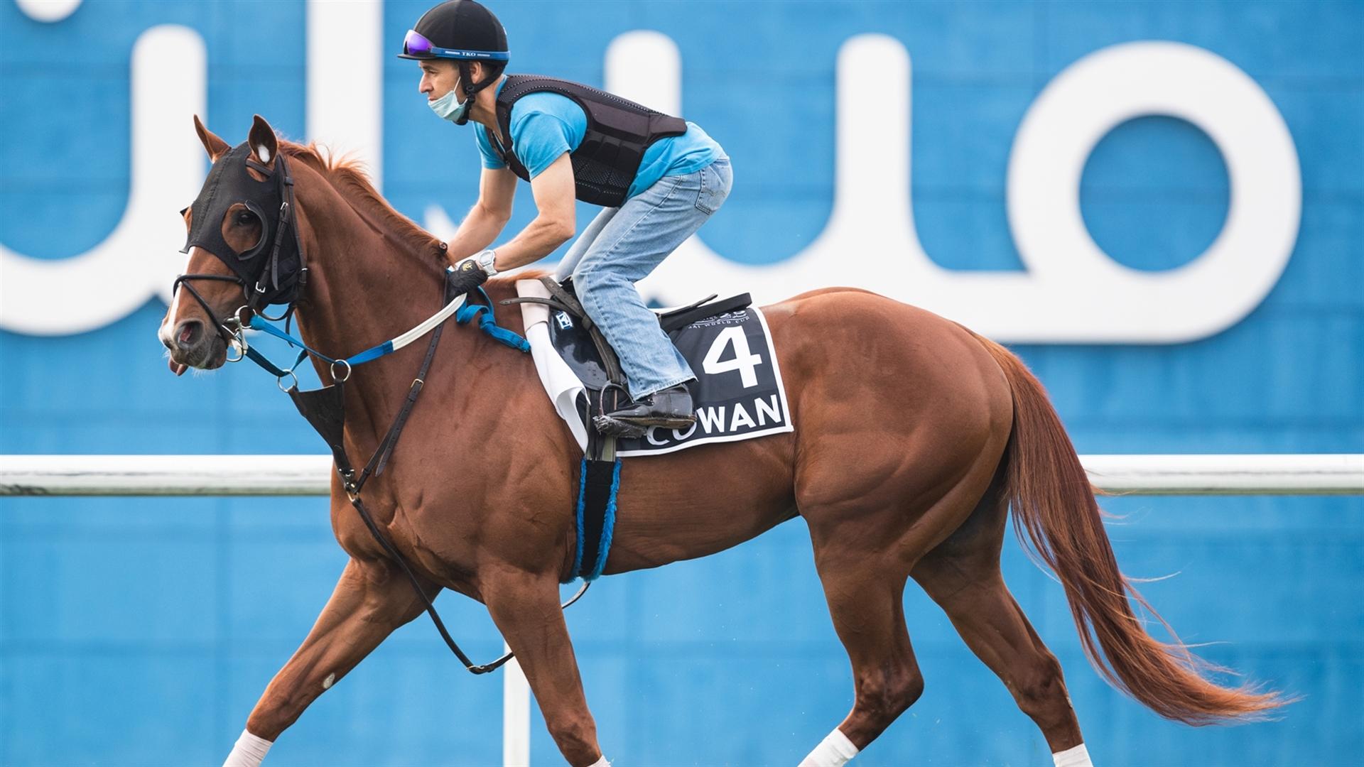 Cowan (USA) (Steve Asmussen) Al Quoz Sprint (Credit Dubai Racing Club & Neville Hopwood)